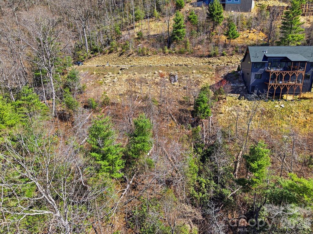 A part of the land has already been cleared. Septic Permit in place and Topo Survey completed. - 367 Curtain Bluff, Hendersonville