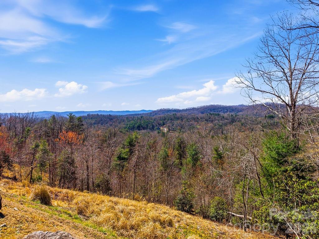 From the street looking towards the long-range mountain view. - 367 Curtain Bluff, Hendersonville