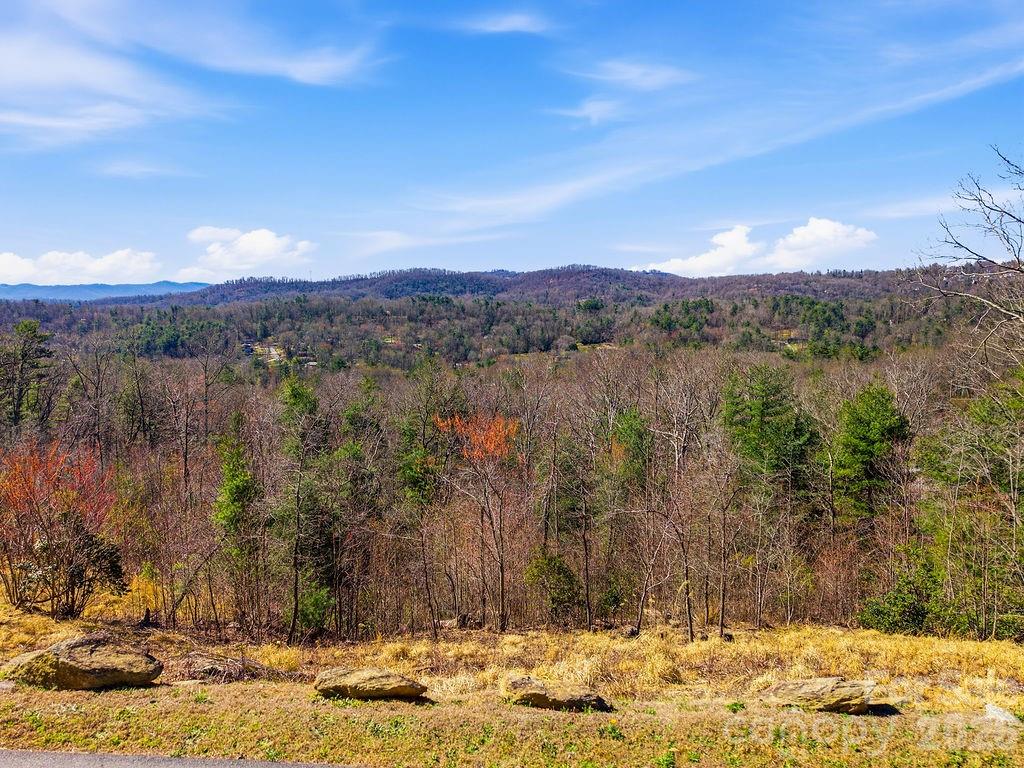 From the street looking towards the long-range mountain view. - 367 Curtain Bluff, Hendersonville