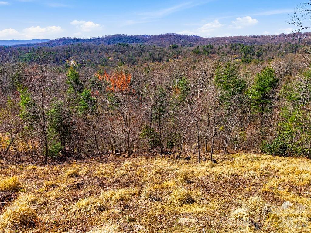 Lot at 367 Curtain Bluff, Hendersonville, photo 14 of 17