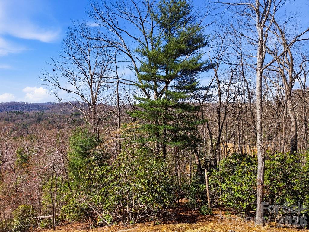 Lot at 367 Curtain Bluff, Hendersonville, photo 15 of 17