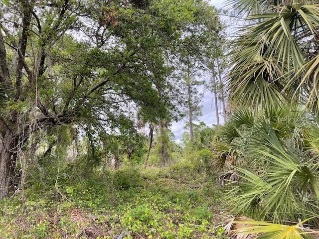 Land at Lot 15 ANANAS RD, NORTH PORT, photo 3 of 8