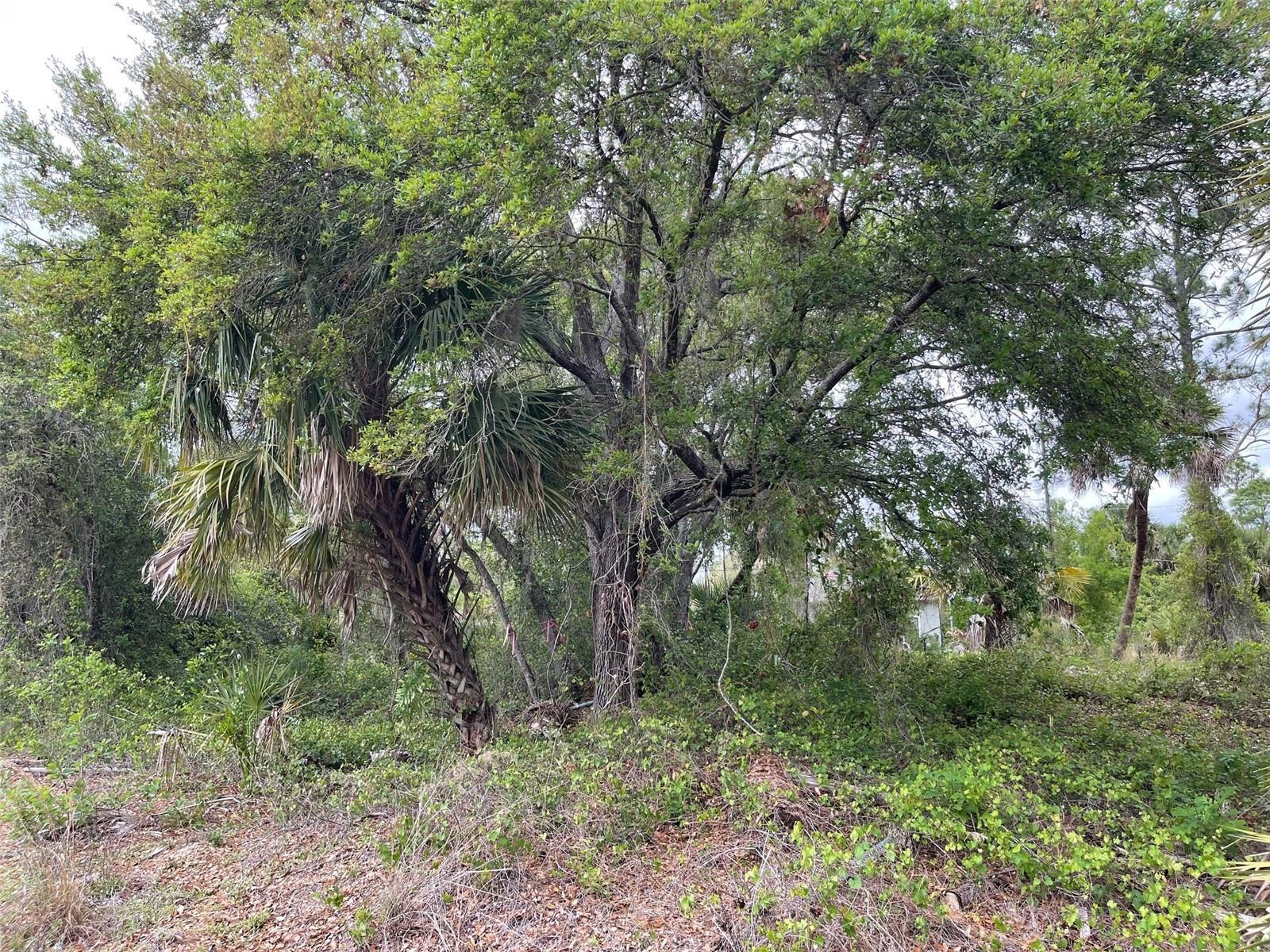 Land at Lot 15 ANANAS RD, NORTH PORT, photo 4 of 8