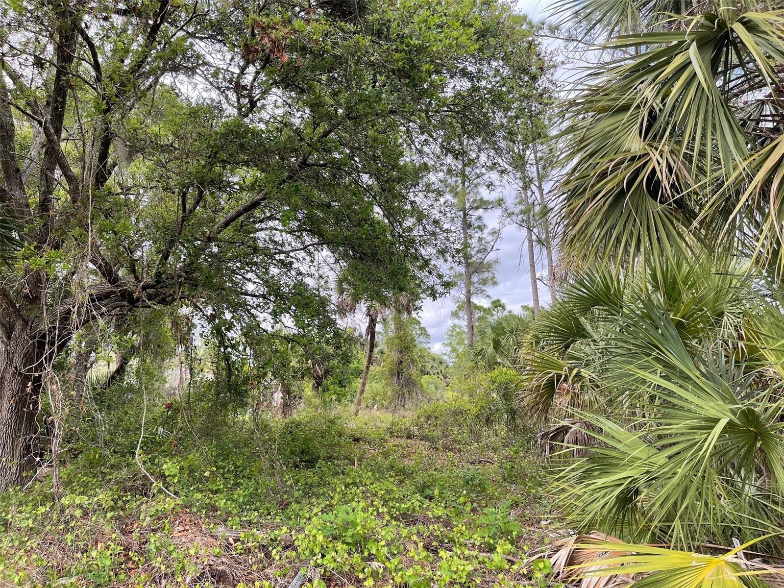 Land at Lot 15 ANANAS RD, NORTH PORT, photo 5 of 8