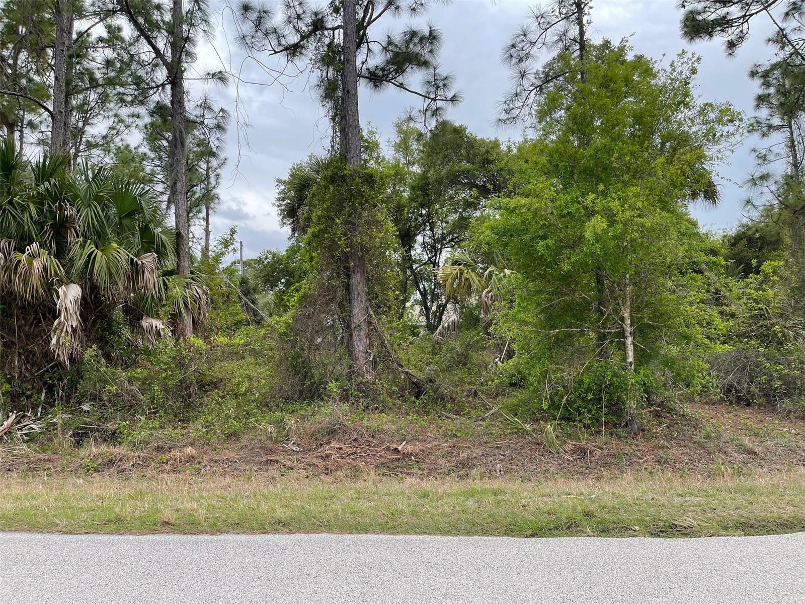 Land at Lot 15 ANANAS RD, NORTH PORT, photo 6 of 8
