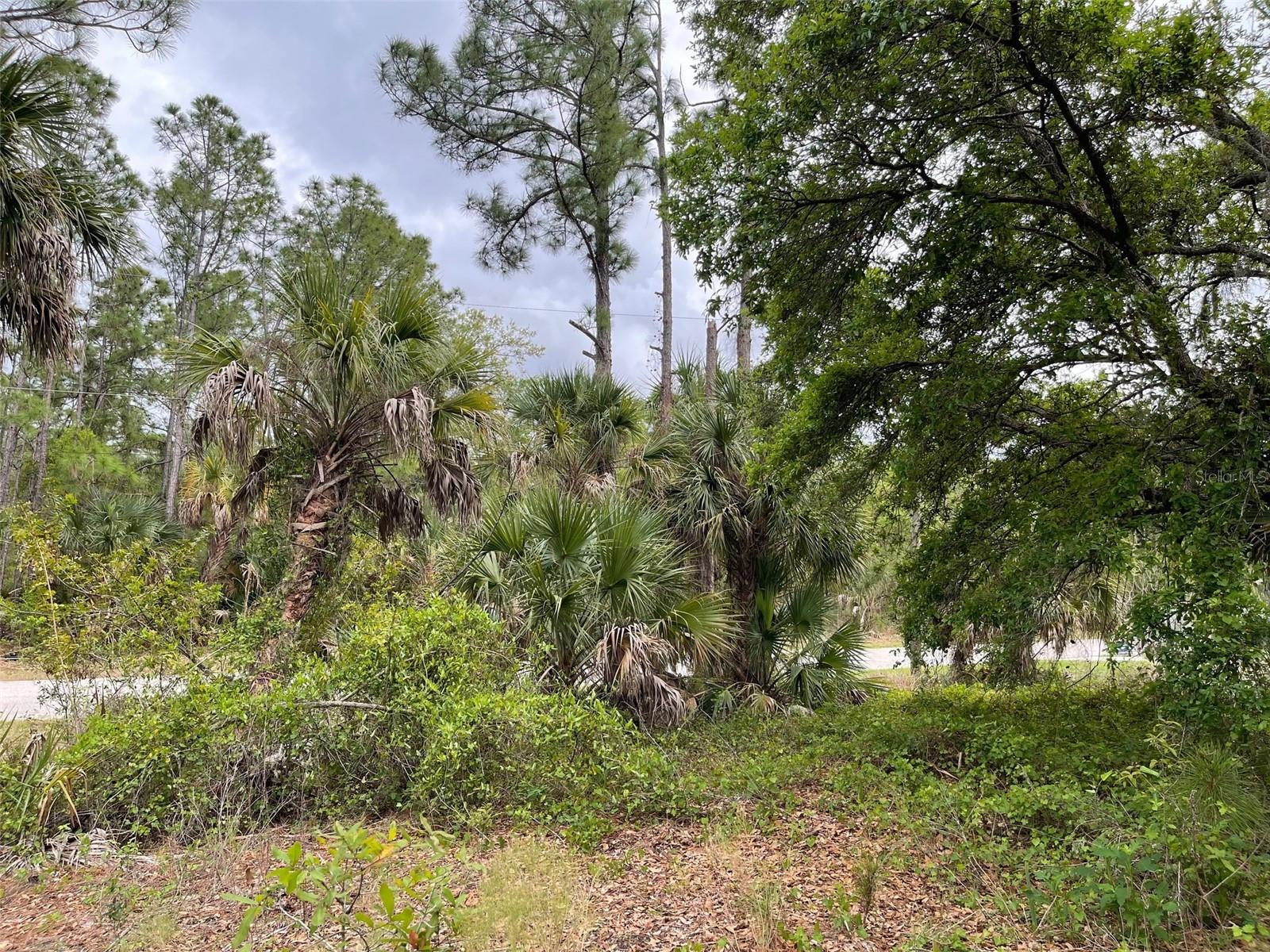 Land at Lot 15 ANANAS RD, NORTH PORT, photo 8 of 8