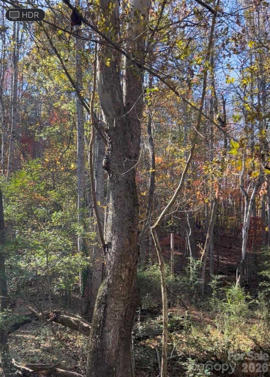 Acreage at 0 Snuggs Park Road, Albemarle, photo 2 of 4