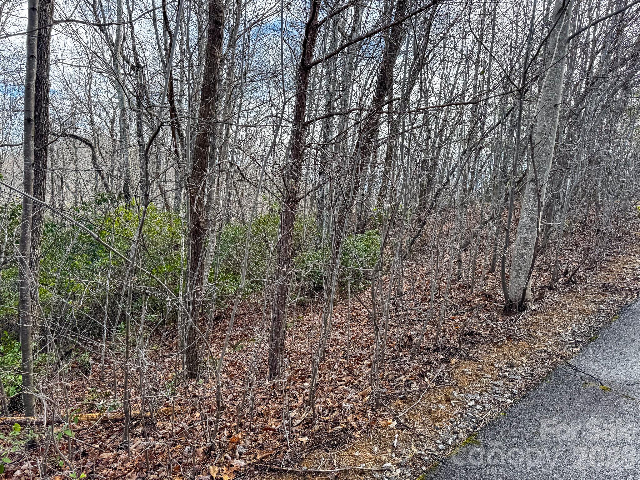 Lot at 9999 Rainbow Falls Trail, Black Mountain, photo 2 of 6