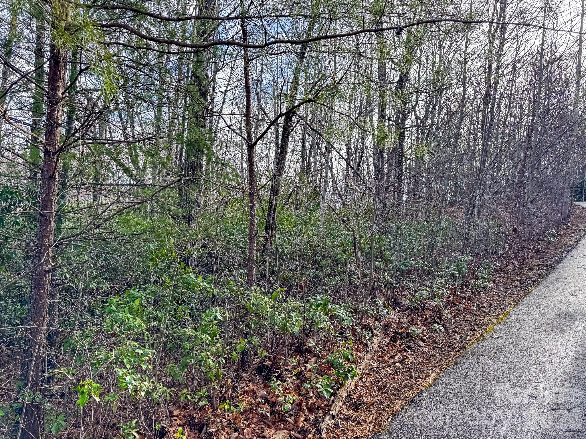 Lot at 9999 Rainbow Falls Trail, Black Mountain, photo 3 of 6
