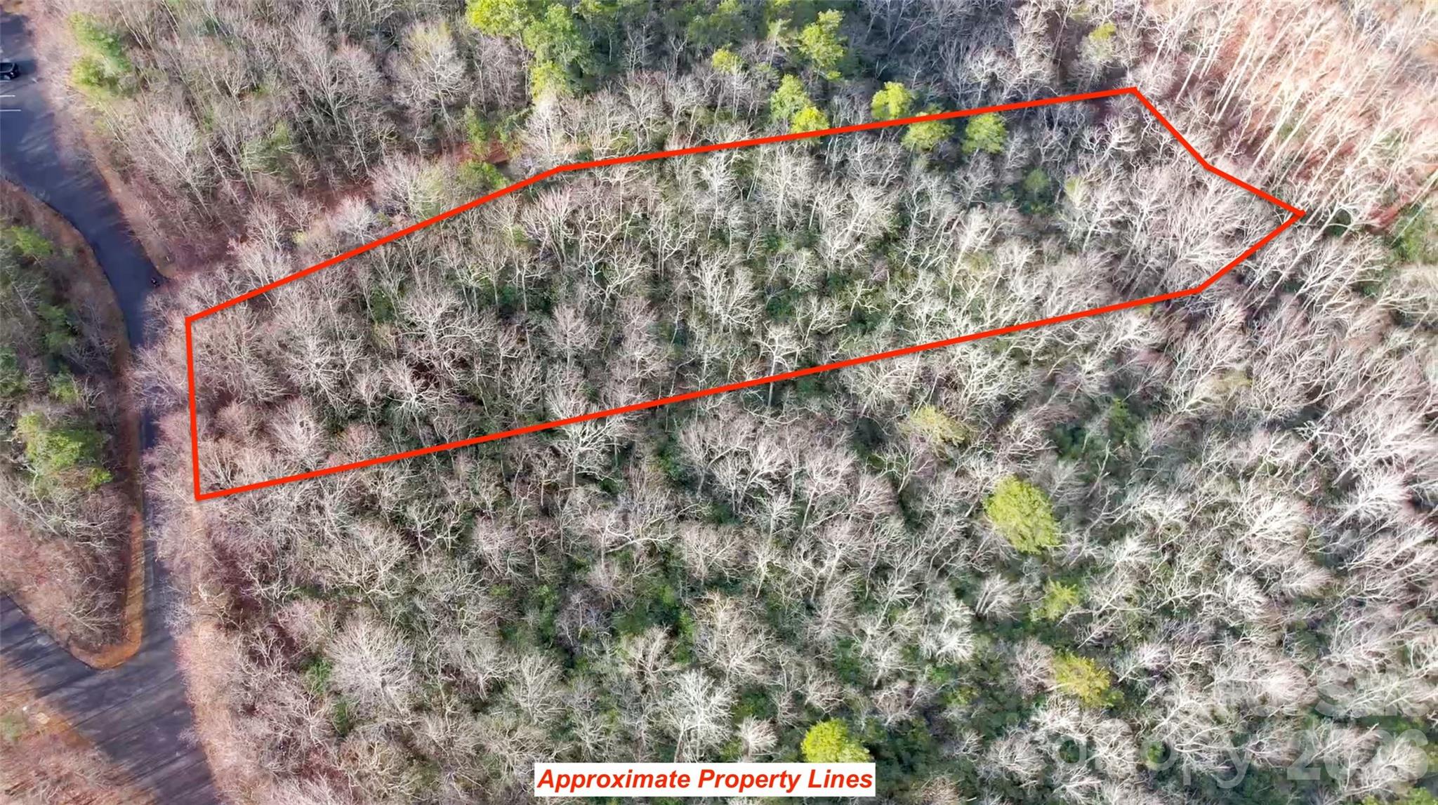Lot at 9999 Rainbow Falls Trail, Black Mountain, photo 4 of 6