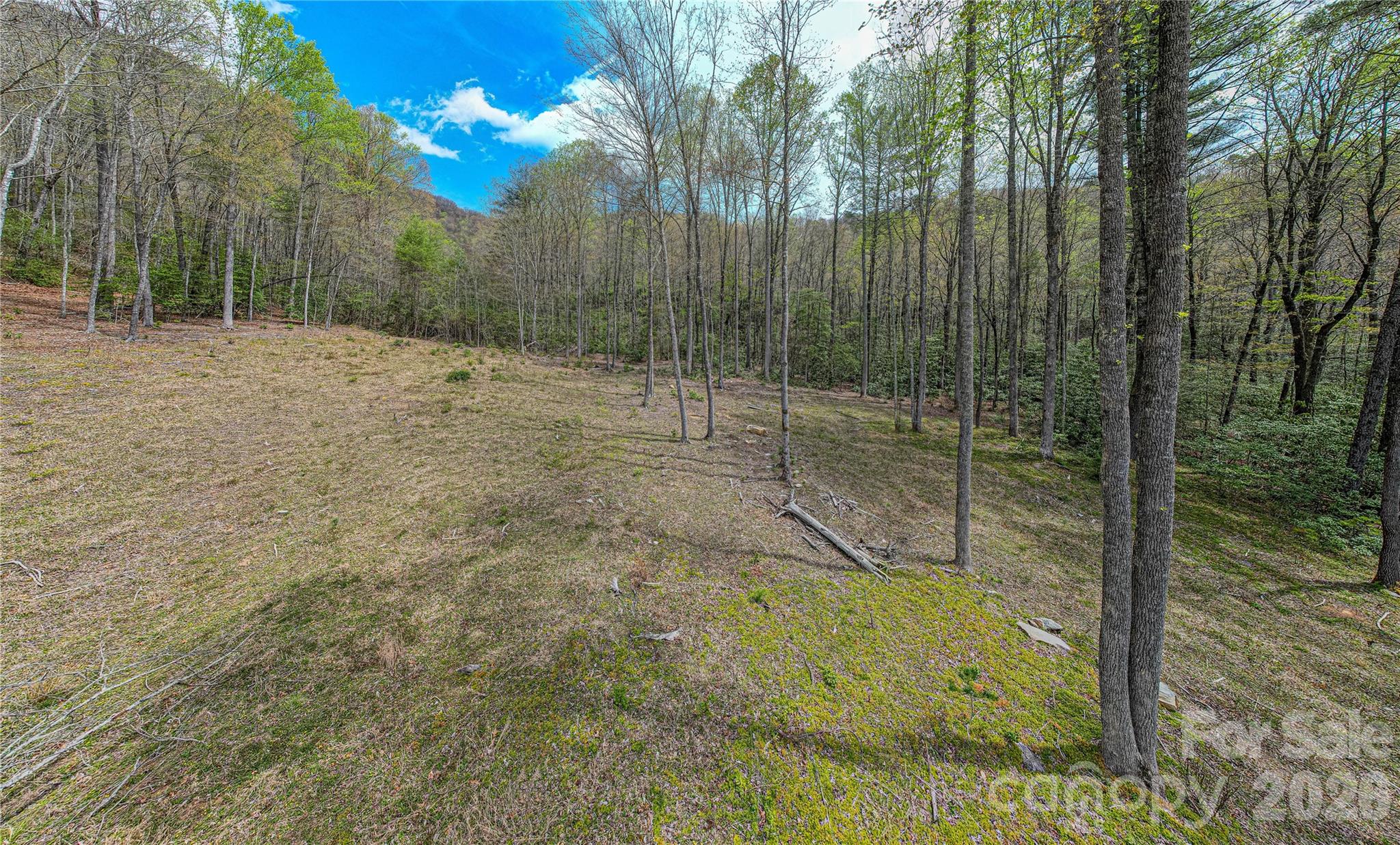 Acreage at 000 Rosman Highway, Sapphire, photo 2 of 21