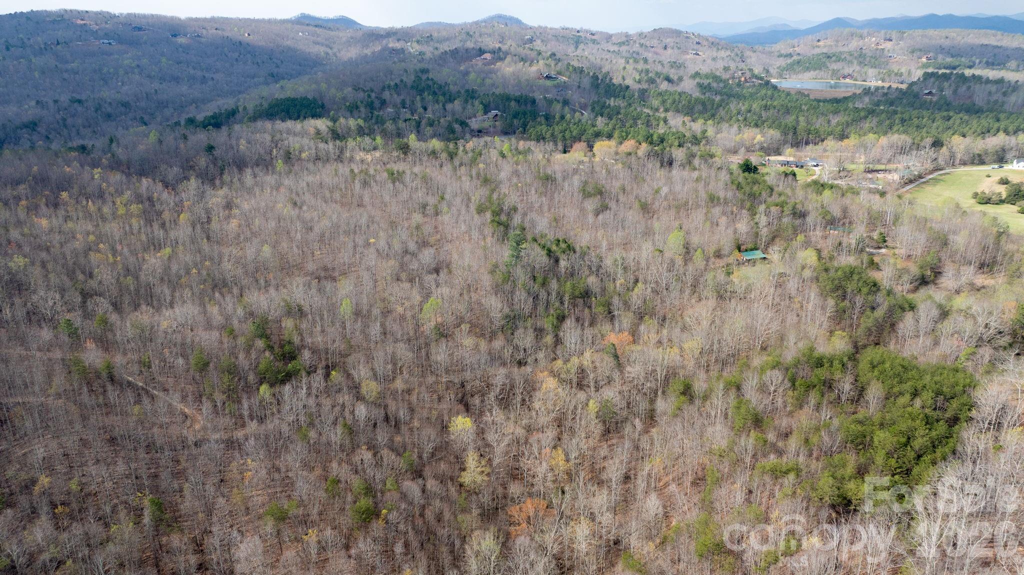 Acreage at TBD Joe Branch Road, Nebo, photo 5 of 20