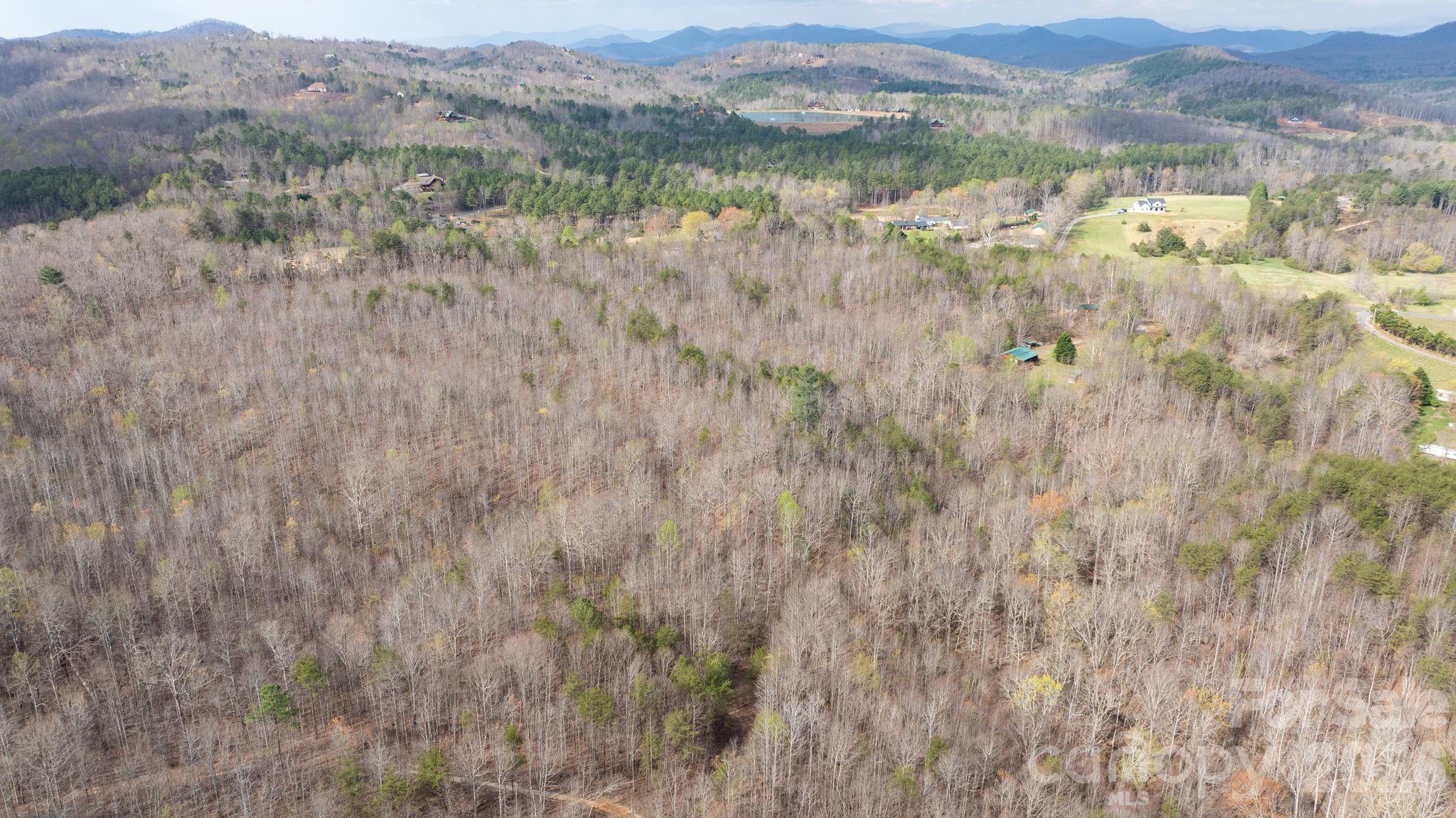 Acreage at TBD Joe Branch Road, Nebo, photo 6 of 20