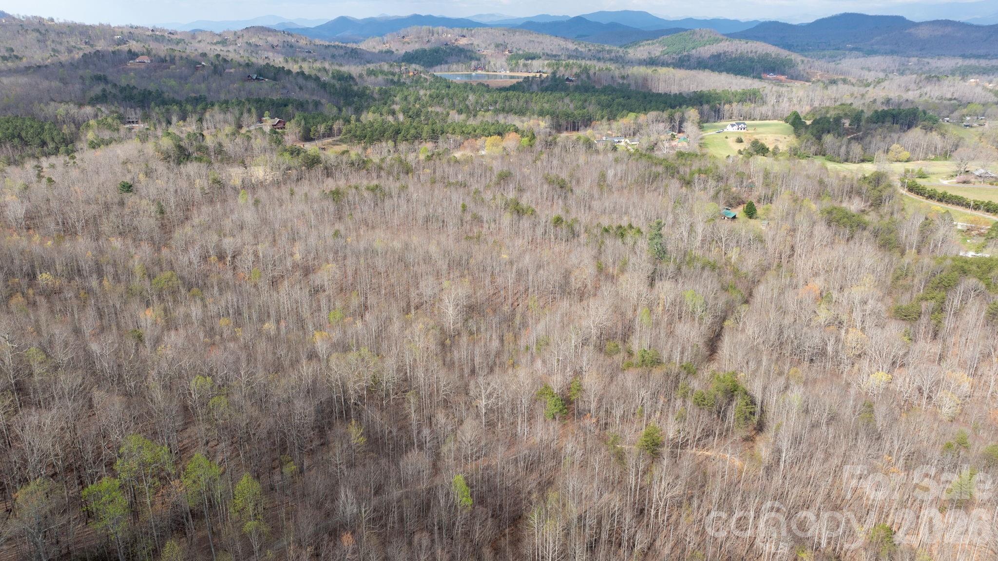 Acreage at TBD Joe Branch Road, Nebo, photo 7 of 20