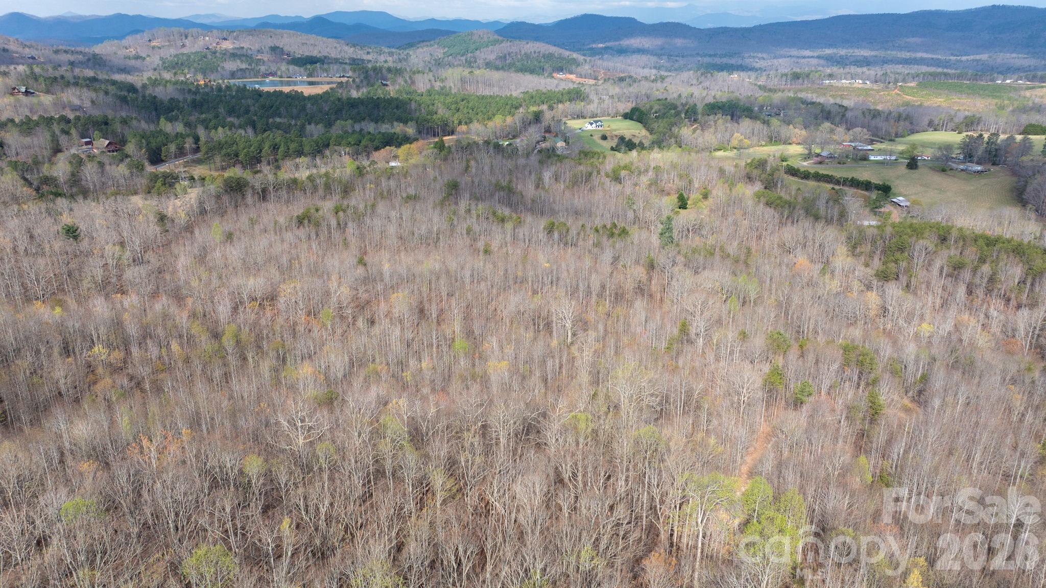 Acreage at TBD Joe Branch Road, Nebo, photo 8 of 20