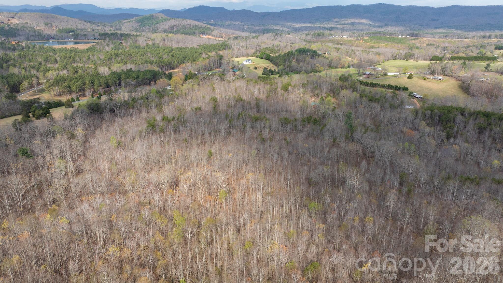 Acreage at TBD Joe Branch Road, Nebo, photo 9 of 20