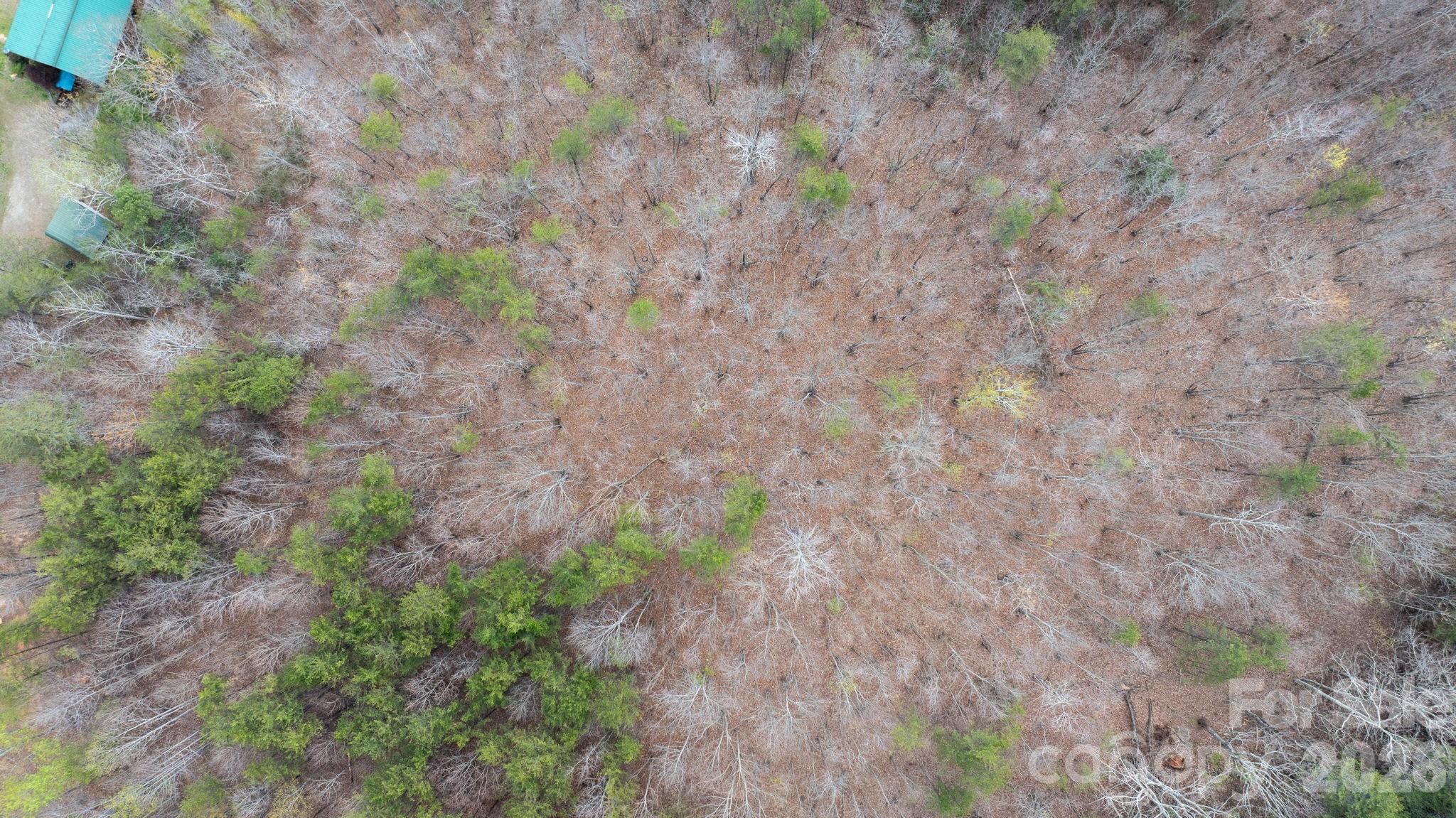 Acreage at TBD Joe Branch Road, Nebo, photo 19 of 20