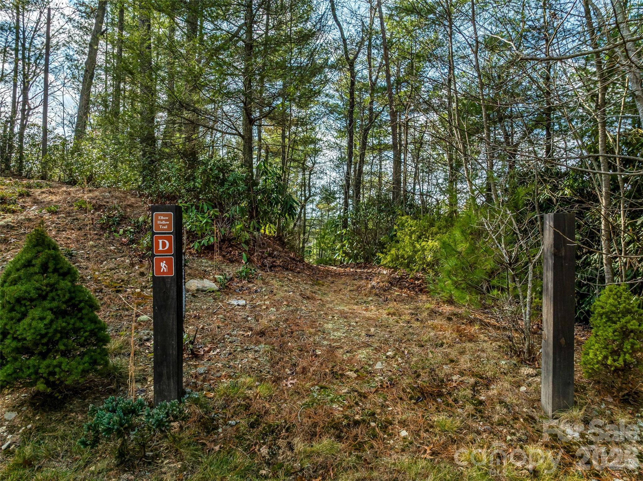 Neighborhood hiking trail - 3735 French Broad Parkway, Marshall