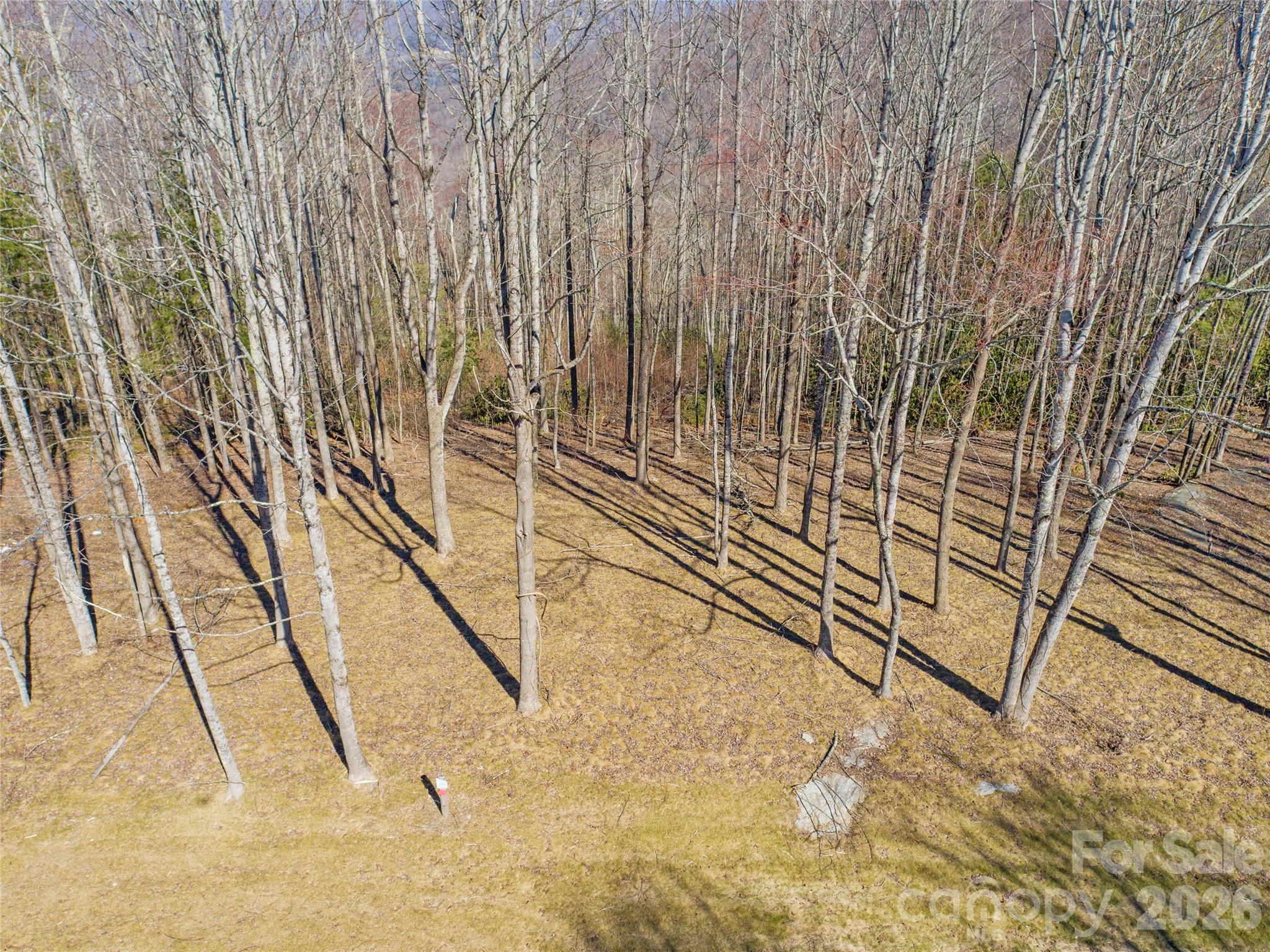 Aerial View of lot 16 - 0 East Garden Trail, Hendersonville