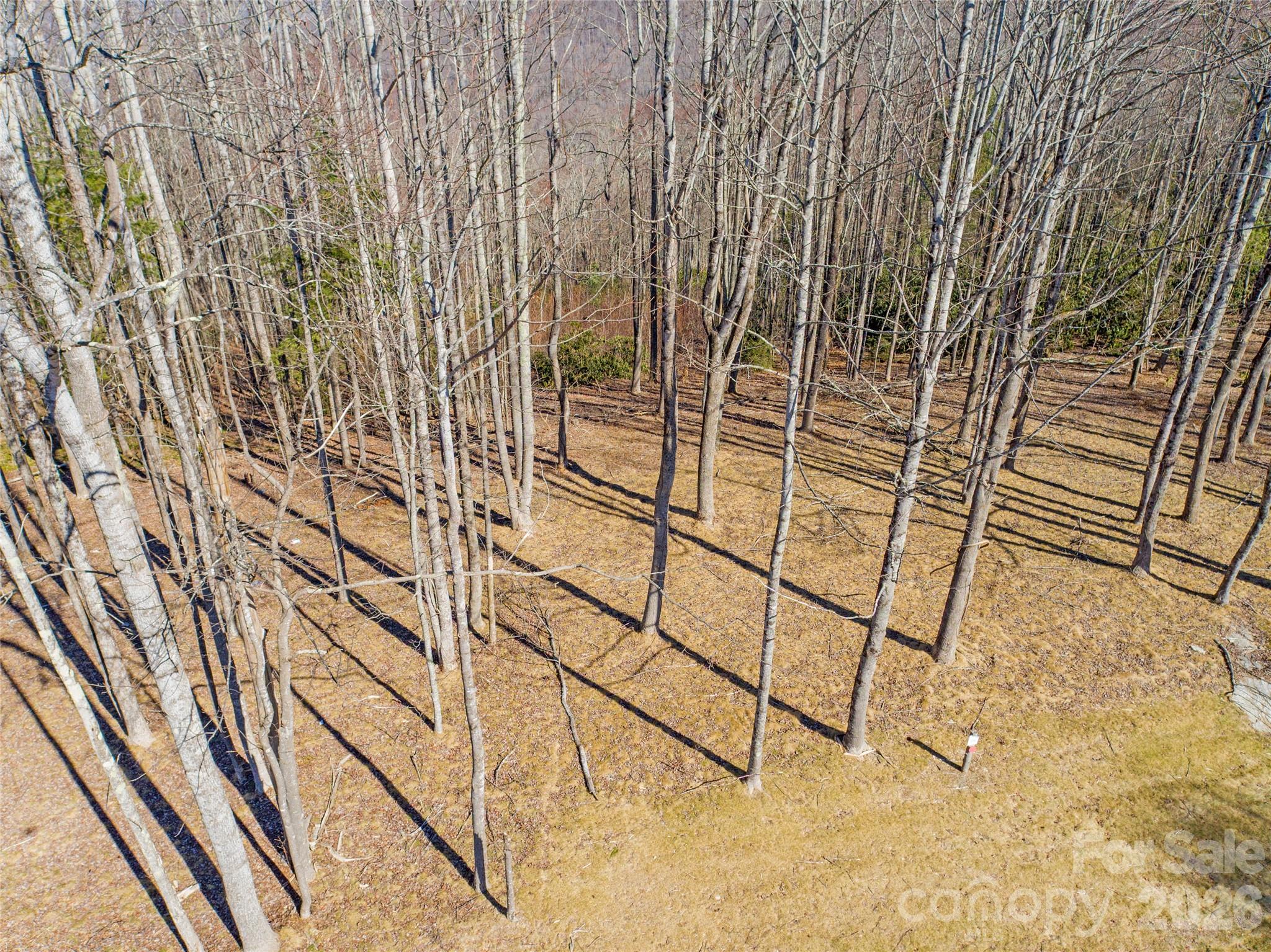 Aerial View of lot 16 - 0 East Garden Trail, Hendersonville