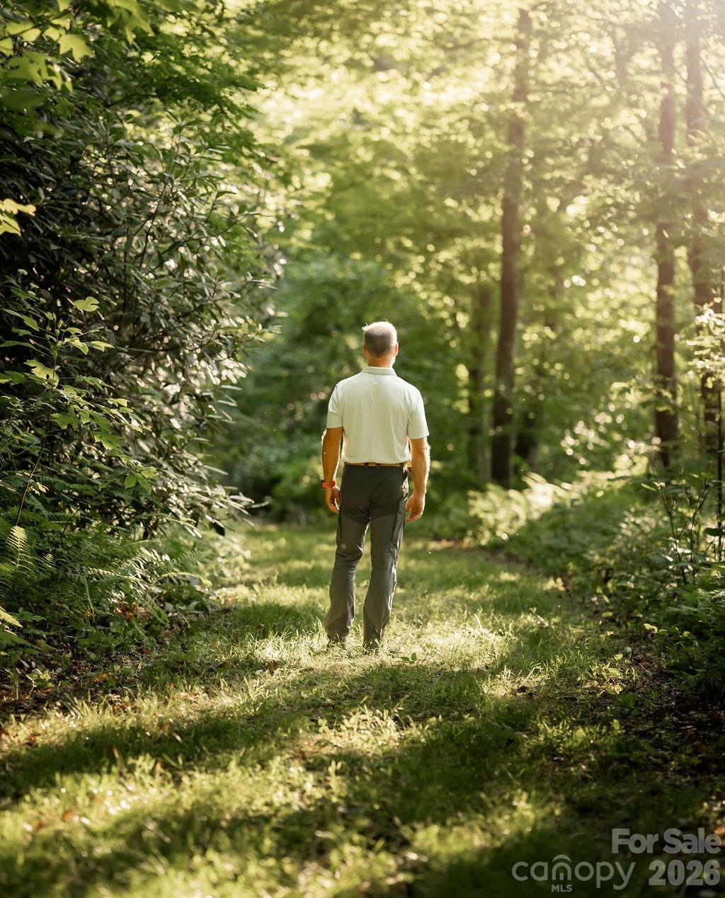 Community Hiking Trails - 0 East Garden Trail, Hendersonville