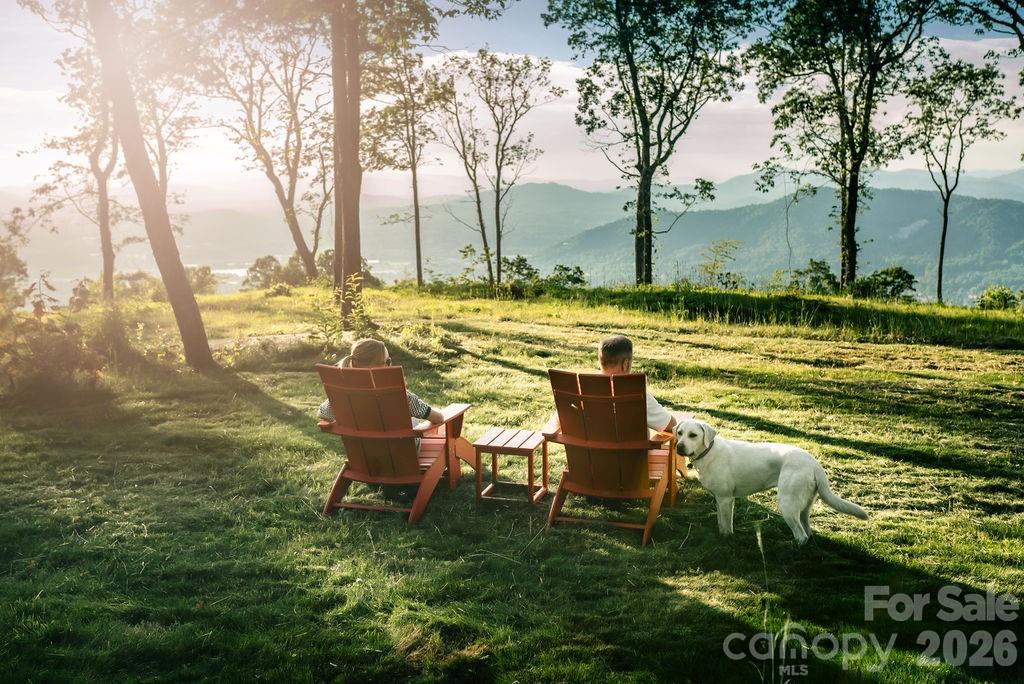 View and topography in Sprout - 0 East Garden Trail, Hendersonville