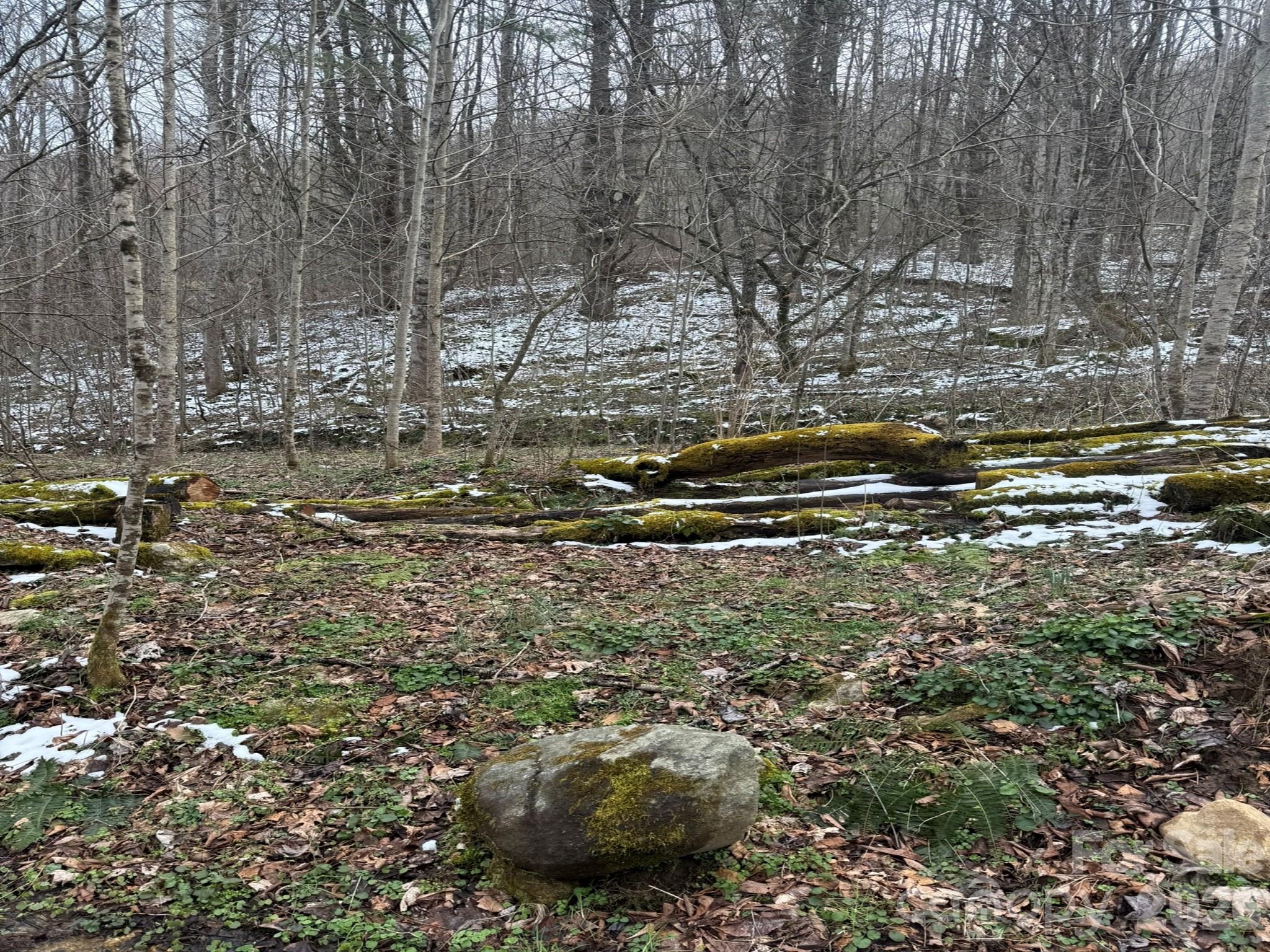 Acreage at TBD 1.2 Acres Jass Cove Road, Marshall, photo 3 of 8