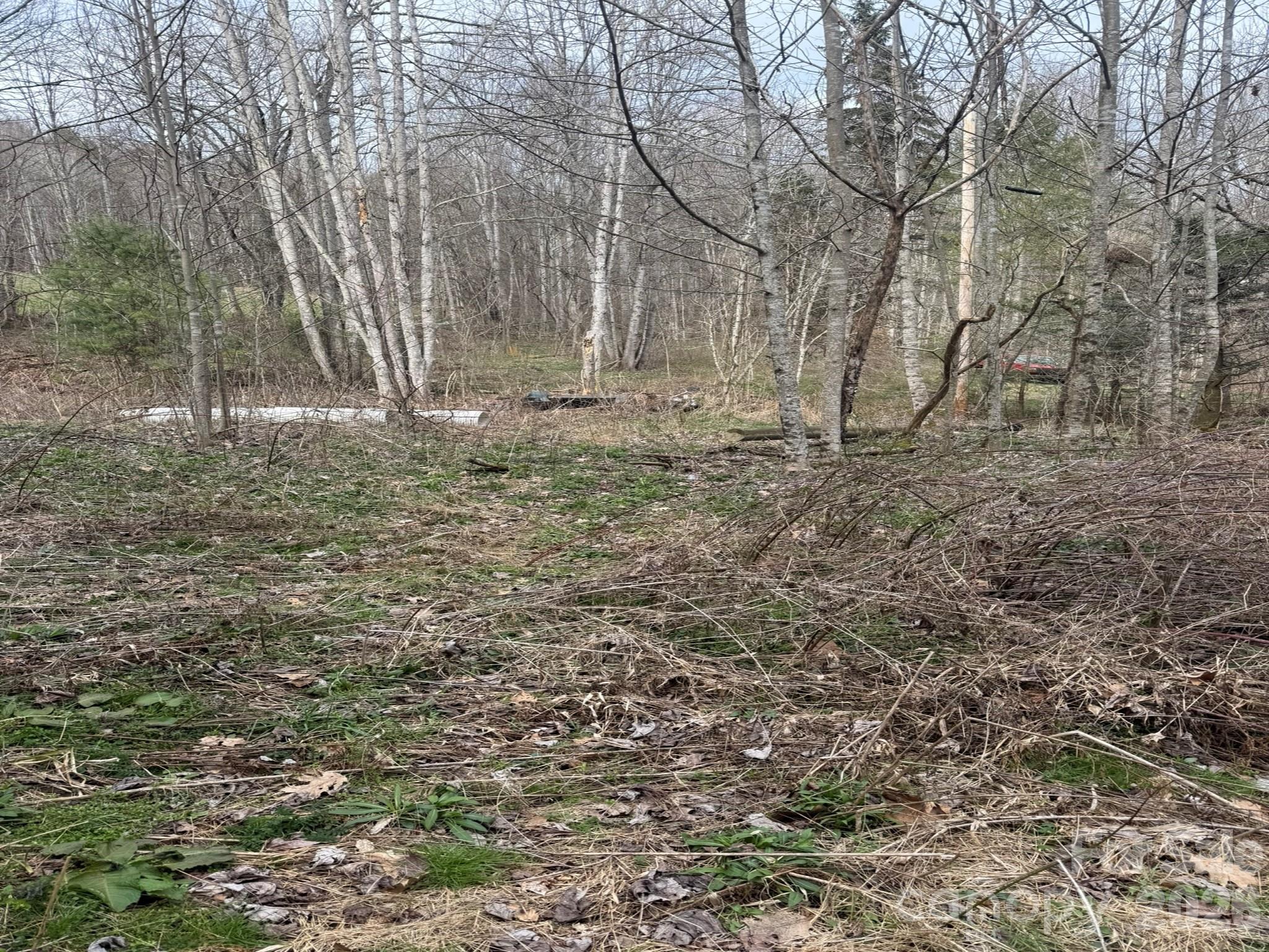 Acreage at TBD 1.2 Acres Jass Cove Road, Marshall, photo 4 of 8