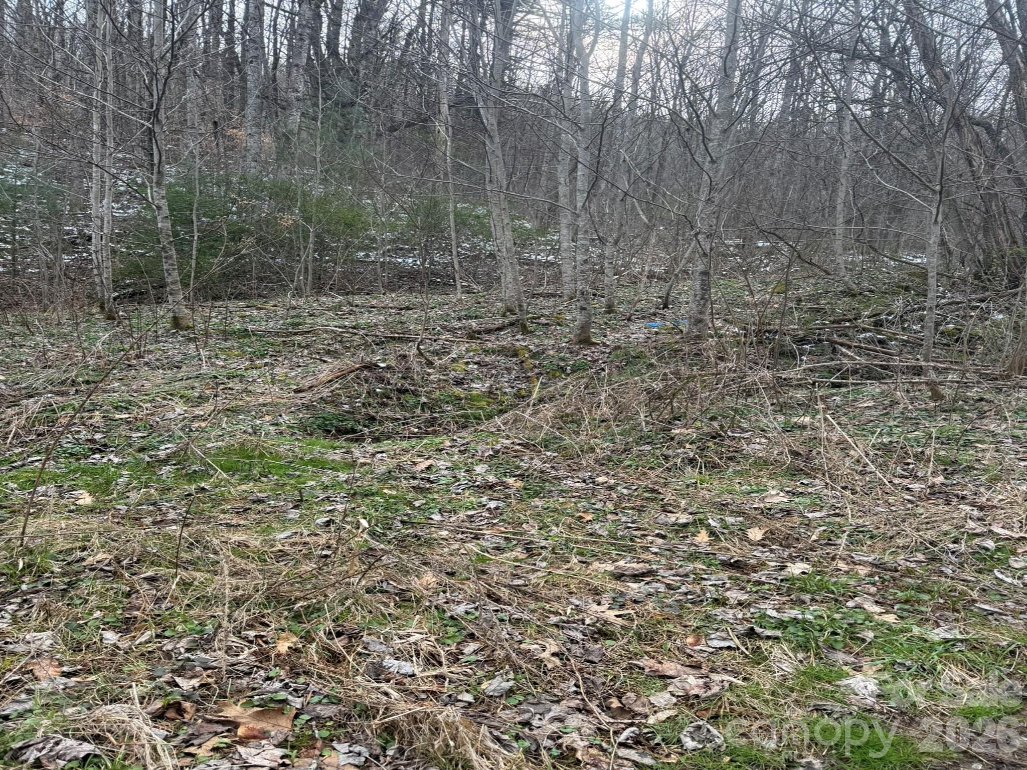 Acreage at TBD 1.2 Acres Jass Cove Road, Marshall, photo 5 of 8
