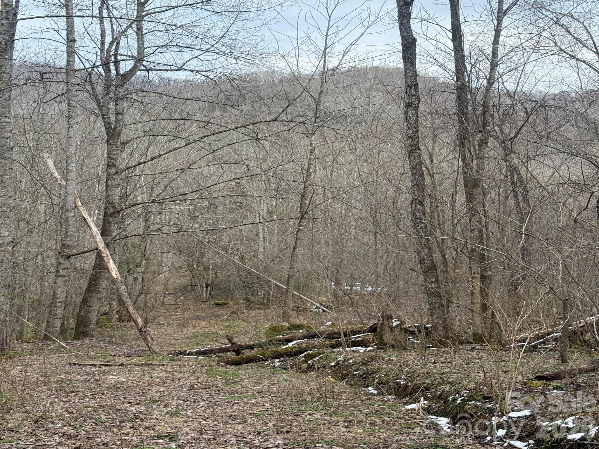 Acreage at TBD 1.21 Acres Jass Cove Road, Marshall, photo 2 of 9