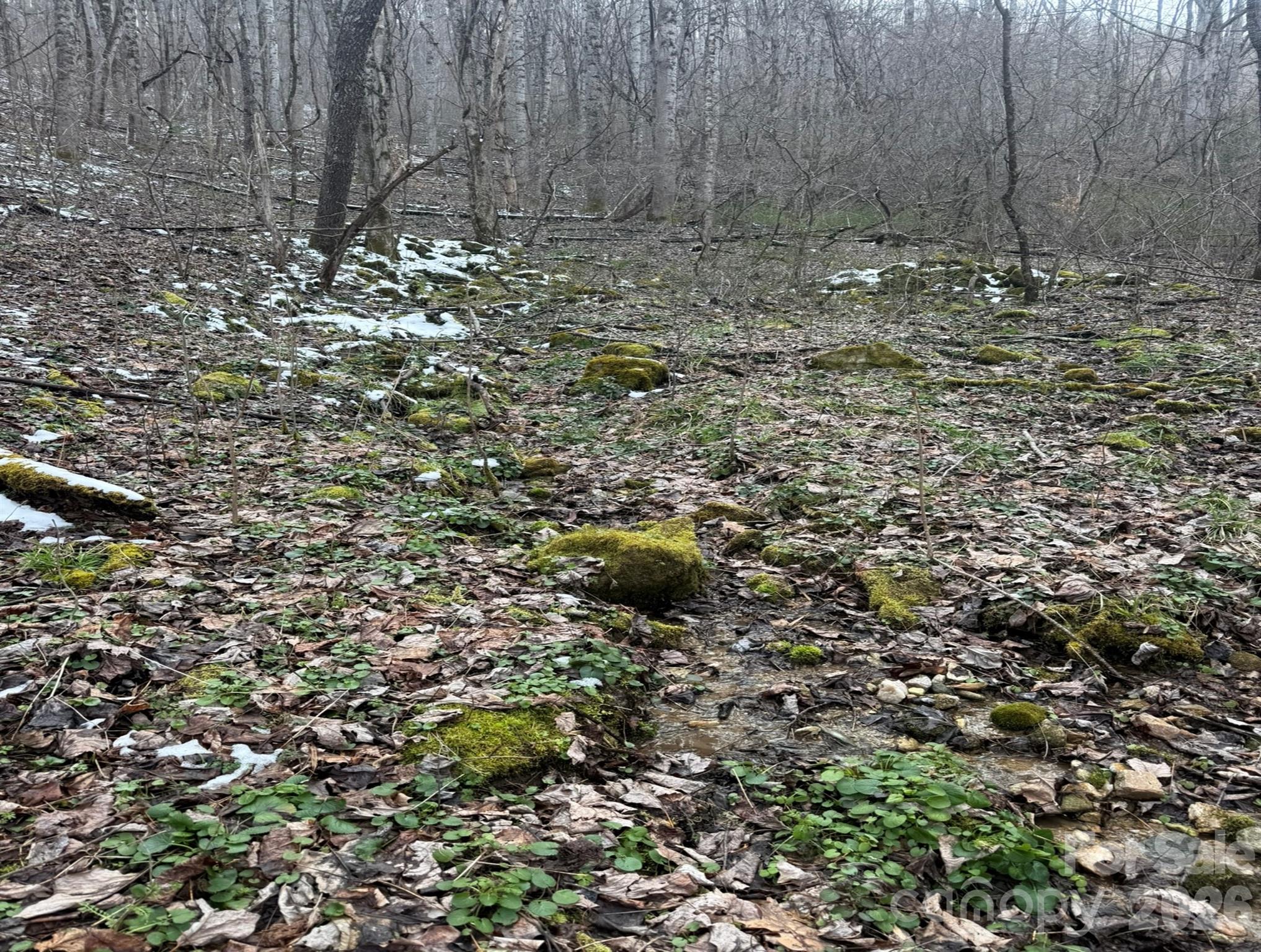 Acreage at TBD 1.21 Acres Jass Cove Road, Marshall, photo 4 of 9