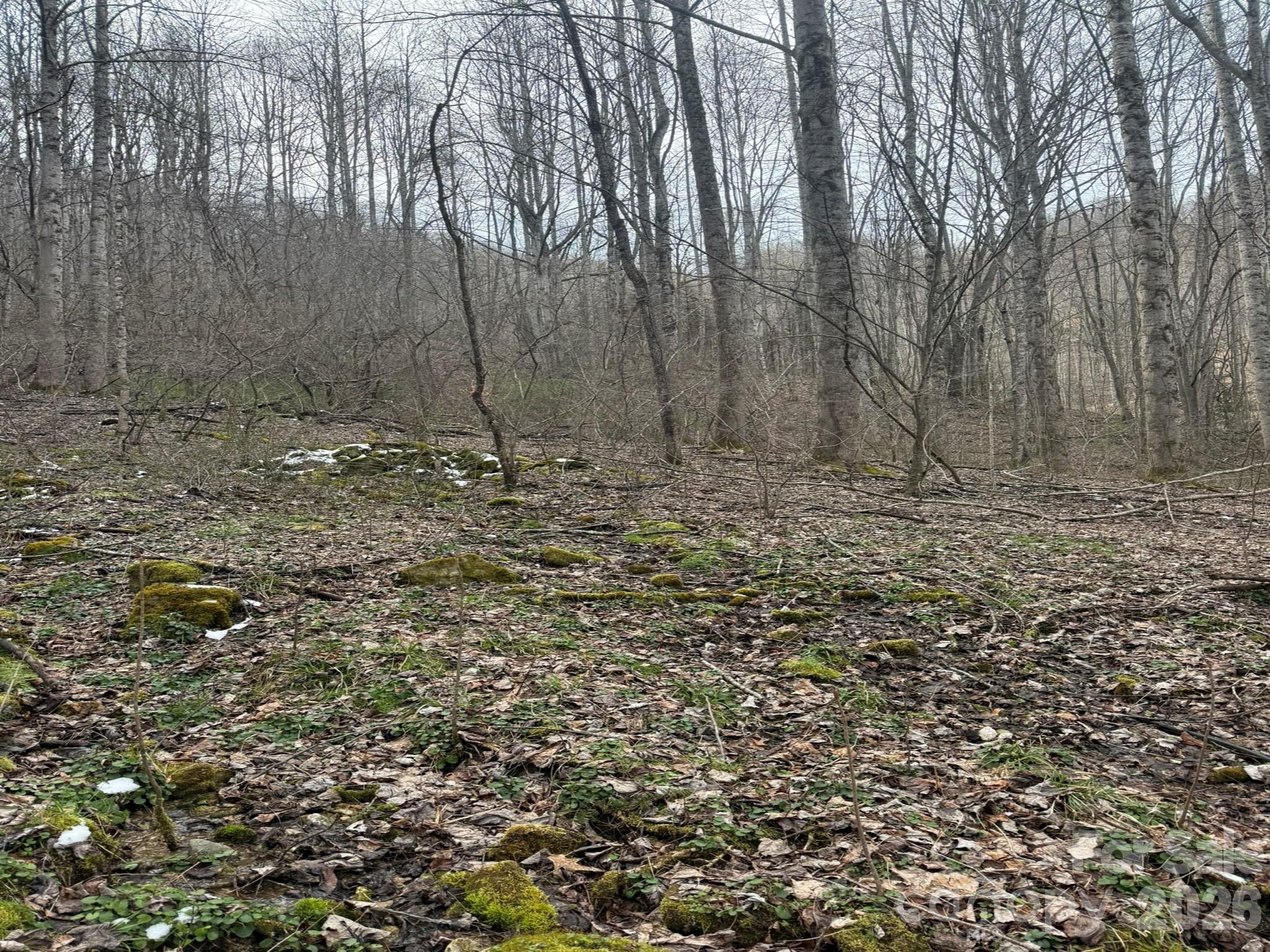 Acreage at TBD 1.21 Acres Jass Cove Road, Marshall, photo 5 of 9