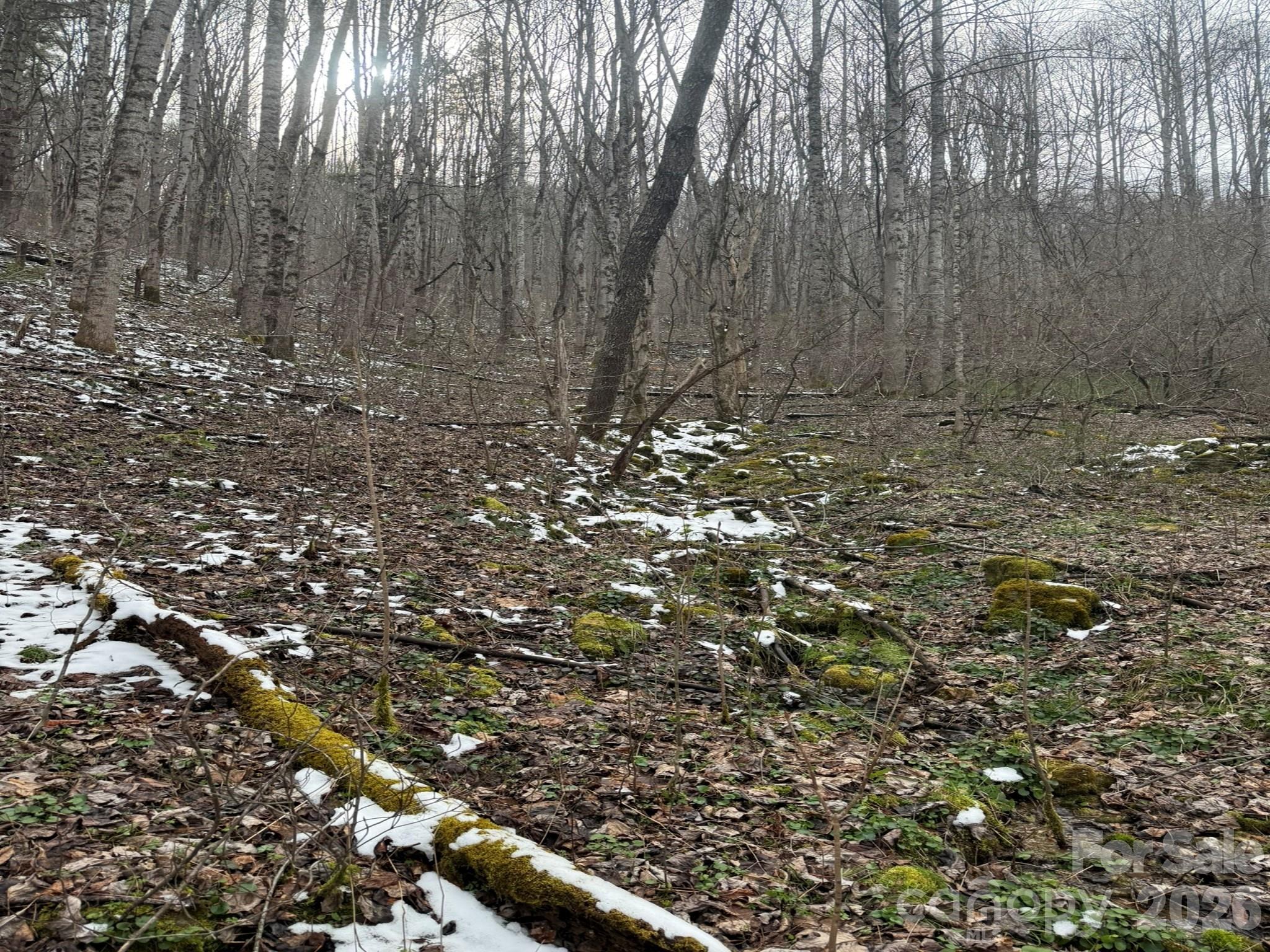 Acreage at TBD 1.21 Acres Jass Cove Road, Marshall, photo 6 of 9