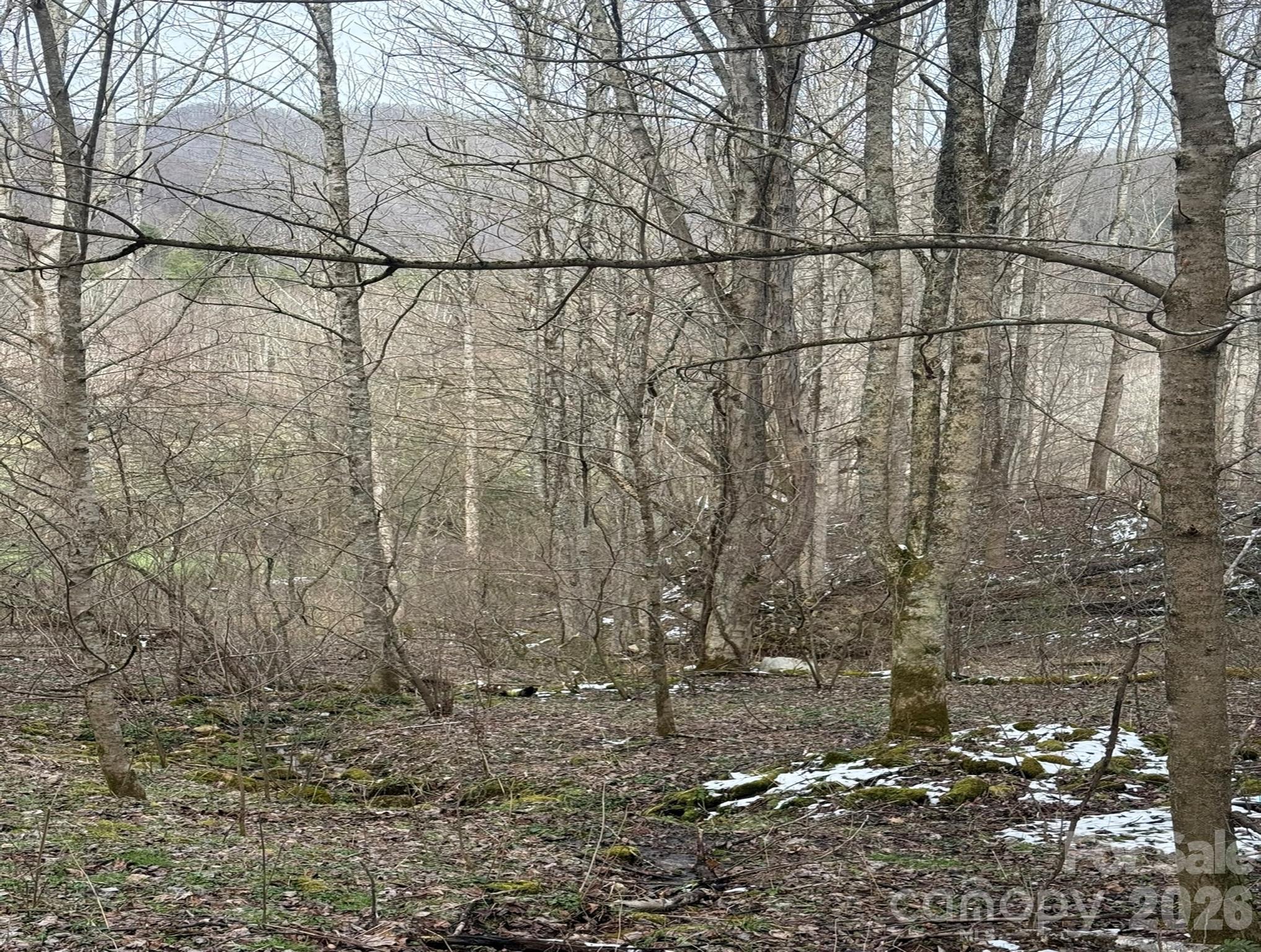 Acreage at TBD 1.21 Acres Jass Cove Road, Marshall, photo 7 of 9
