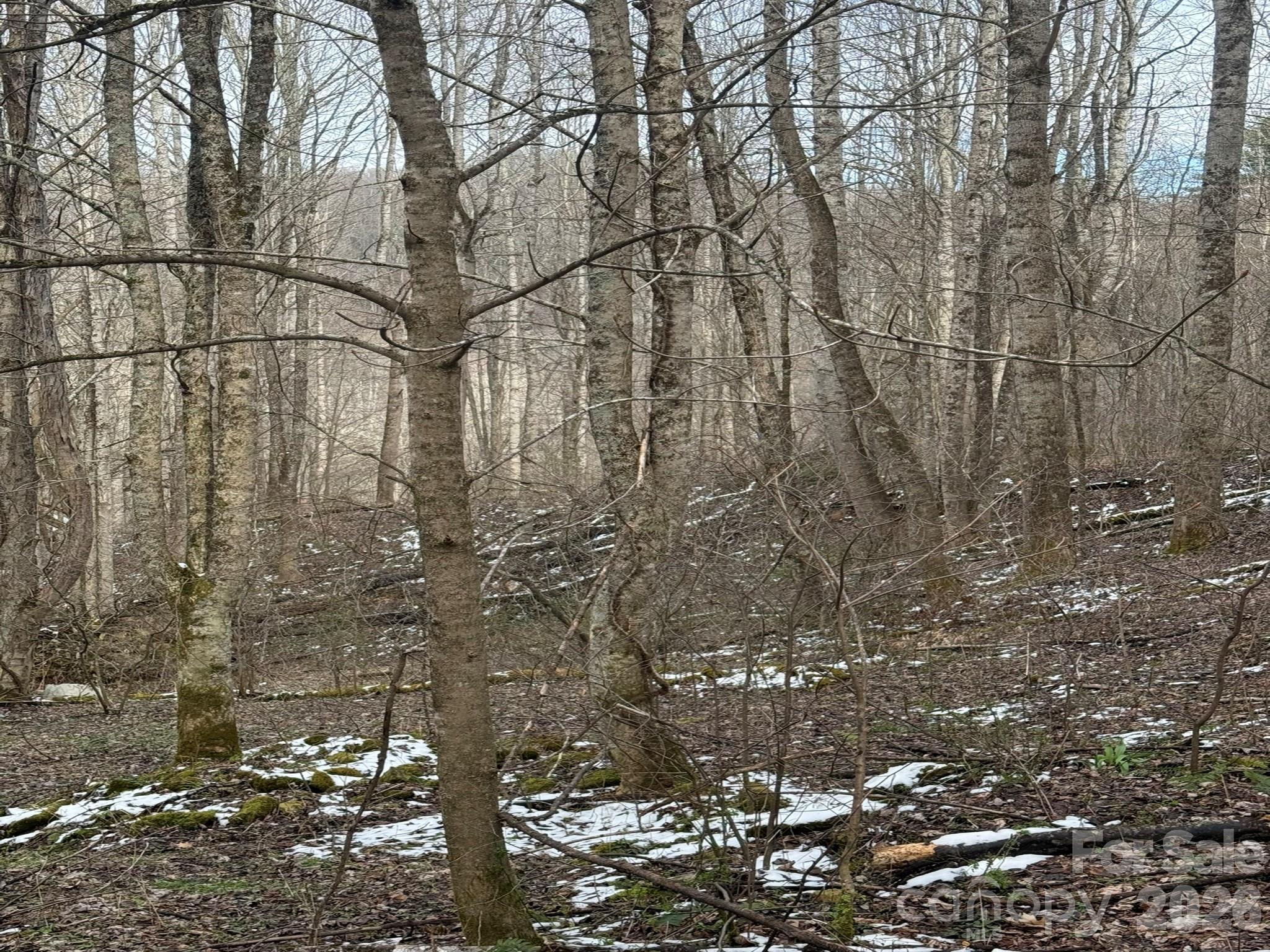 Acreage at TBD 1.21 Acres Jass Cove Road, Marshall, photo 8 of 9