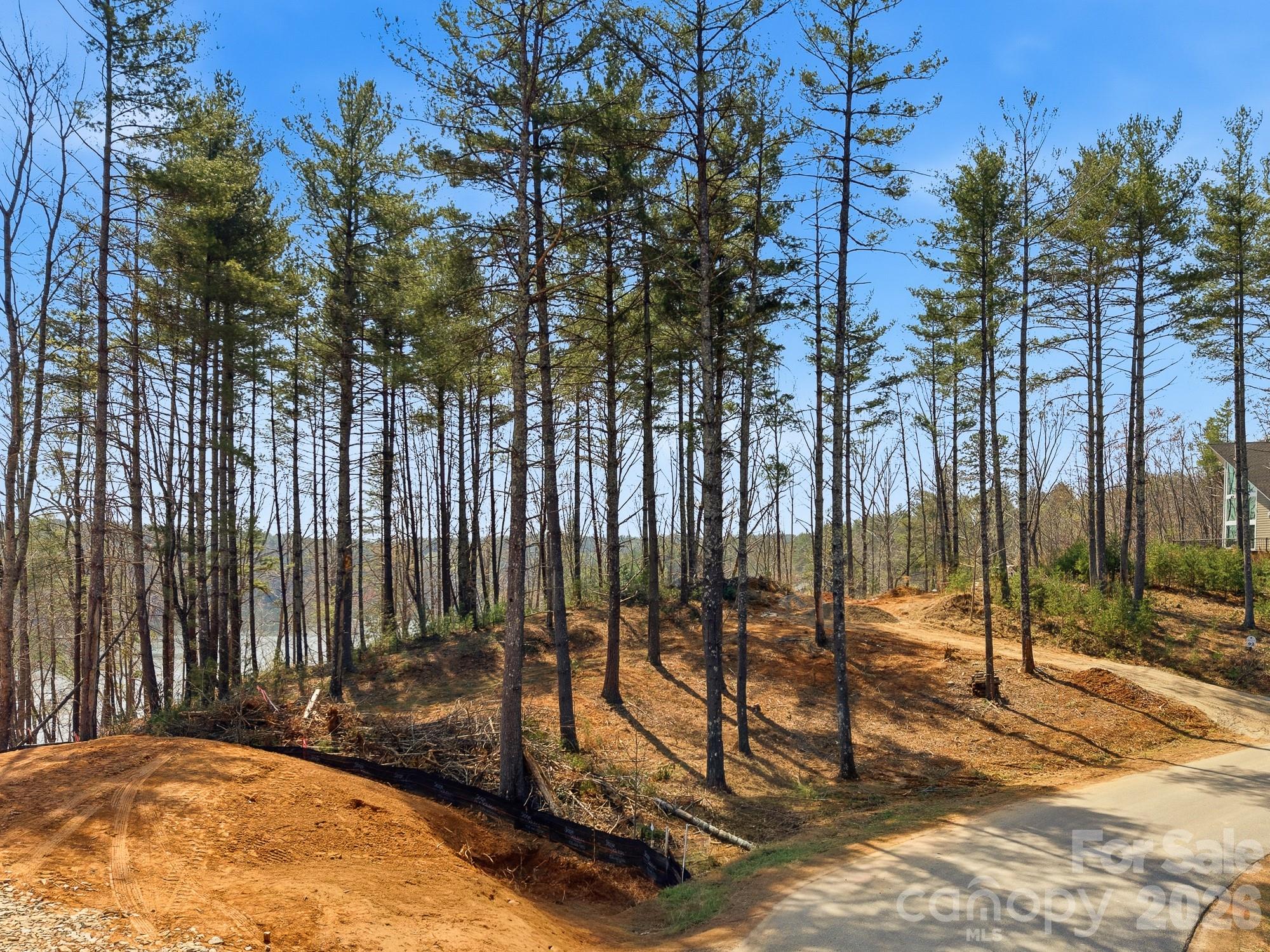 Lot at 291 S Crest View Street, Nebo, photo 2 of 12