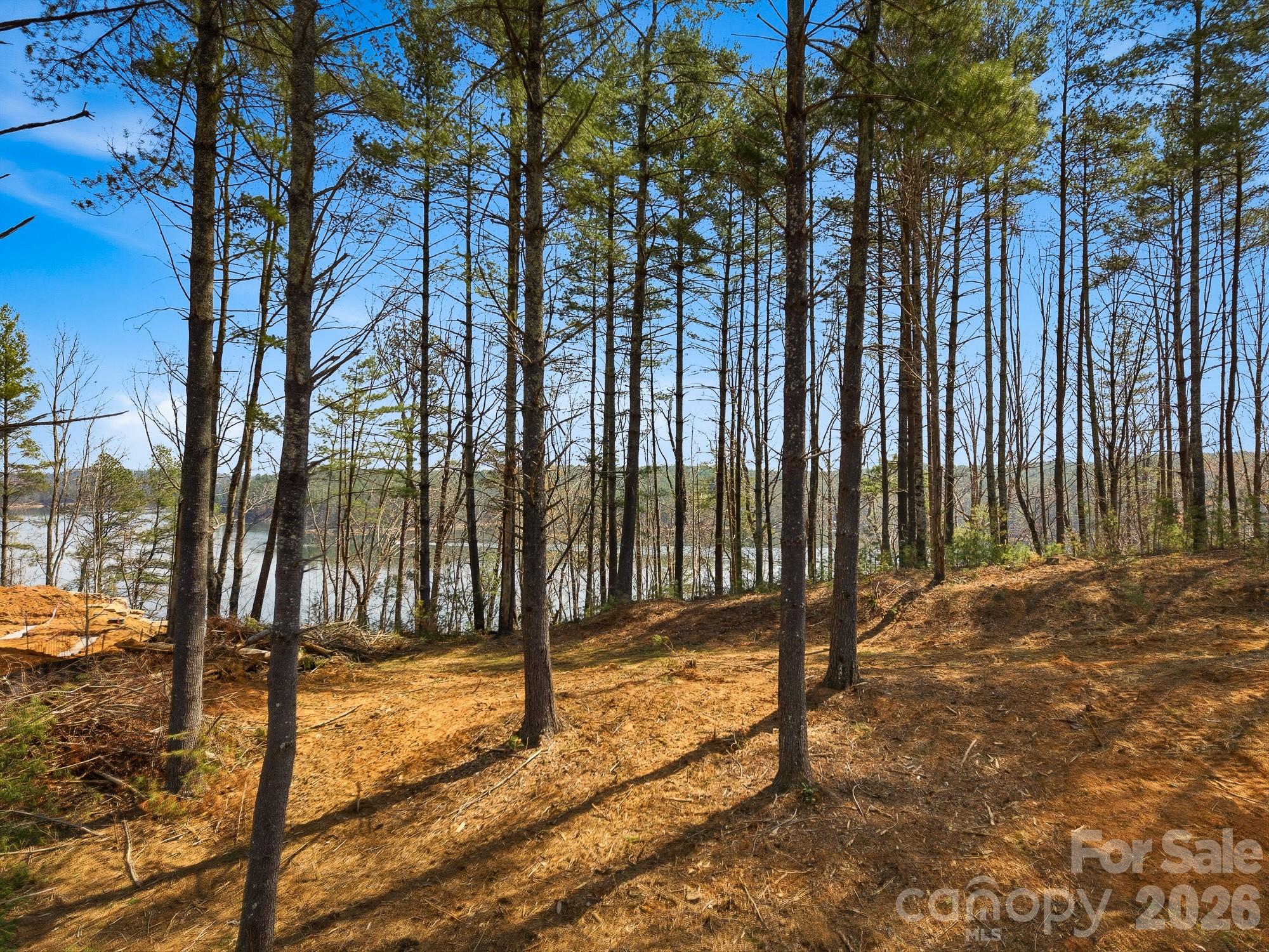 Lot at 291 S Crest View Street, Nebo, photo 3 of 12