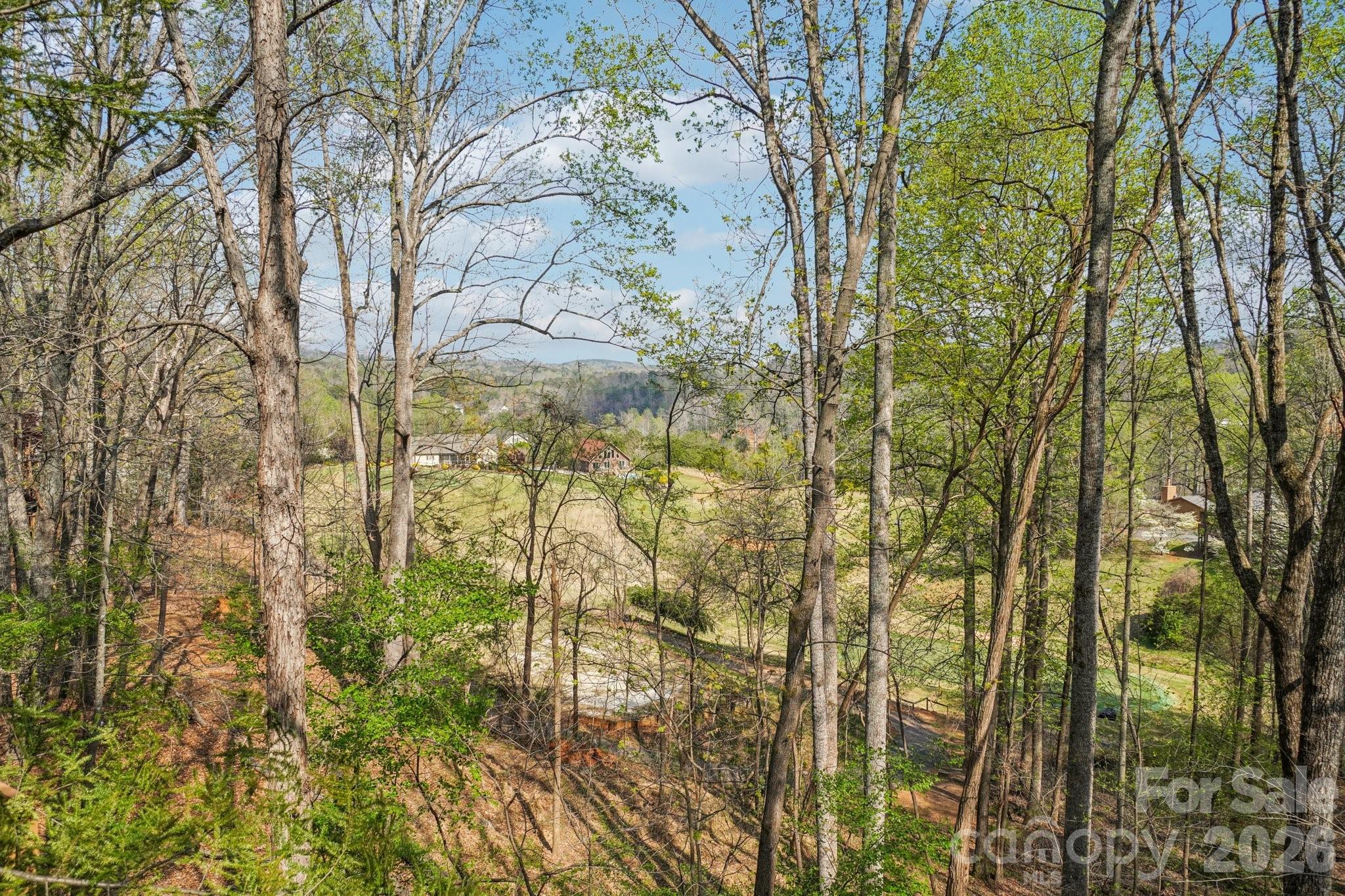 Condominium at 409 Whitney Boulevard, Lake Lure, photo 23 of 24