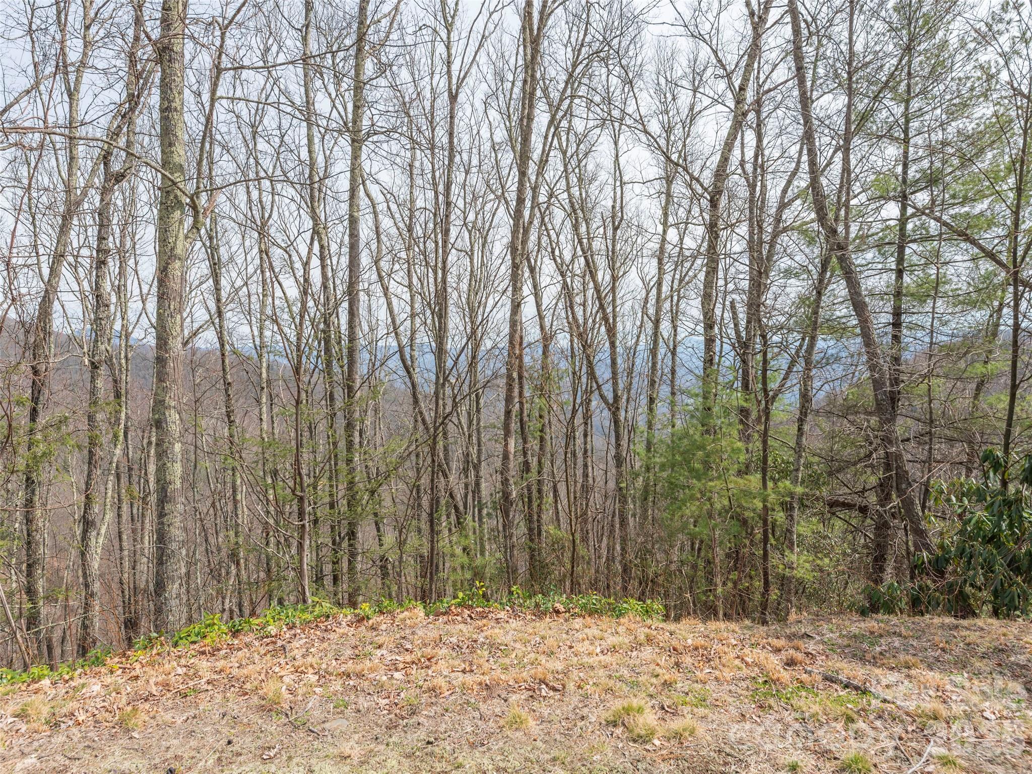 Lot at 0000 Sigogglin Trail, Waynesville, photo 4 of 17