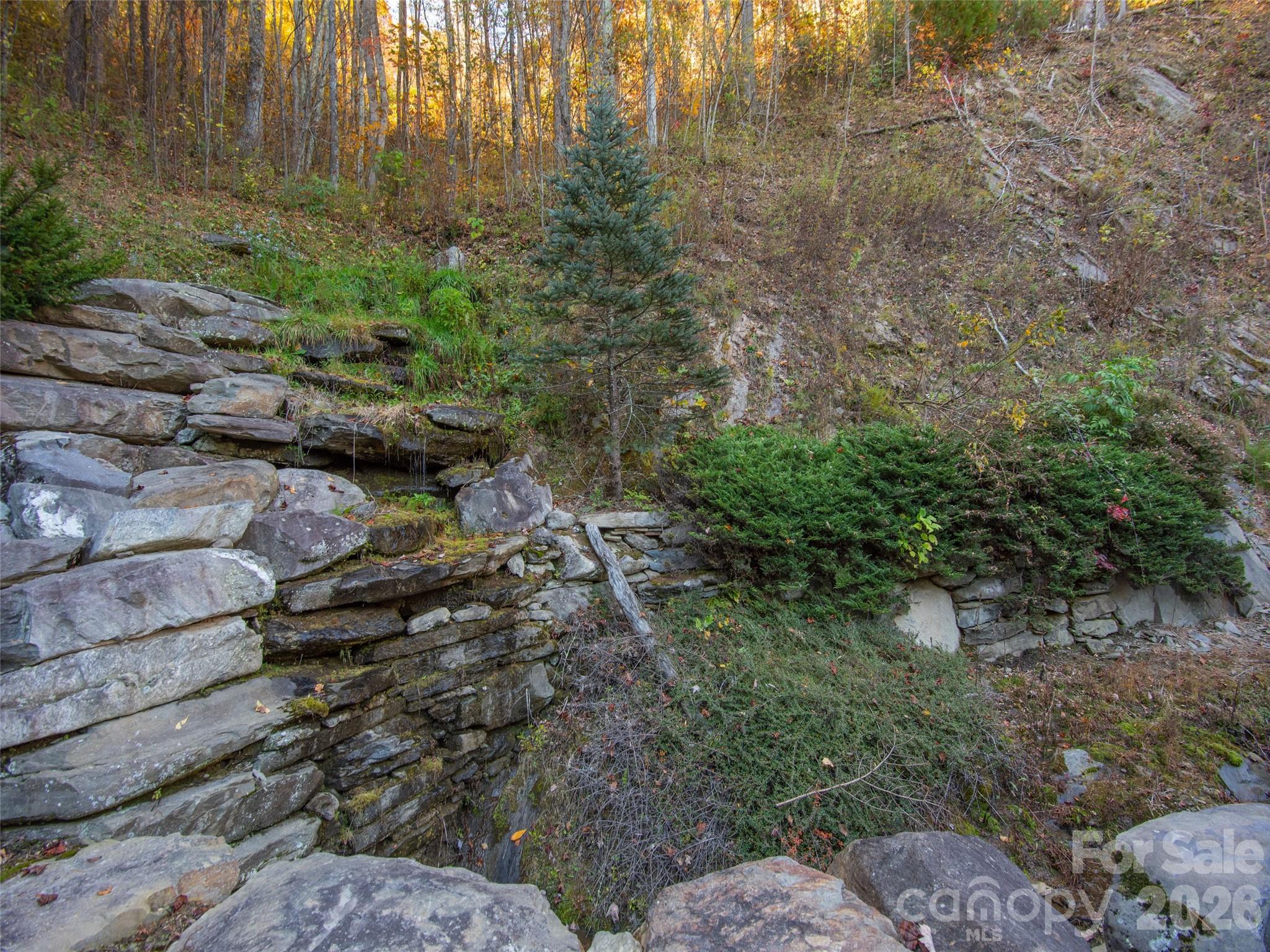 Lot at 0000 Sigogglin Trail, Waynesville, photo 16 of 17