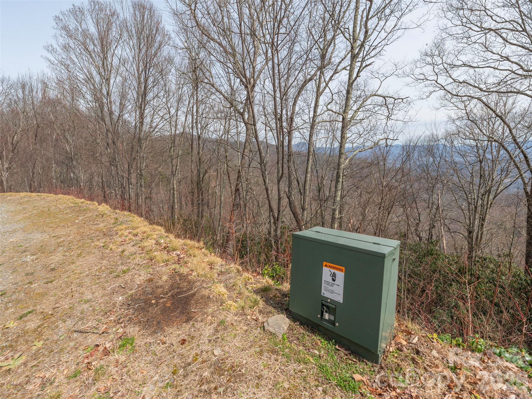 Acreage at 000 Sigogglin Road, Waynesville, photo 2 of 24