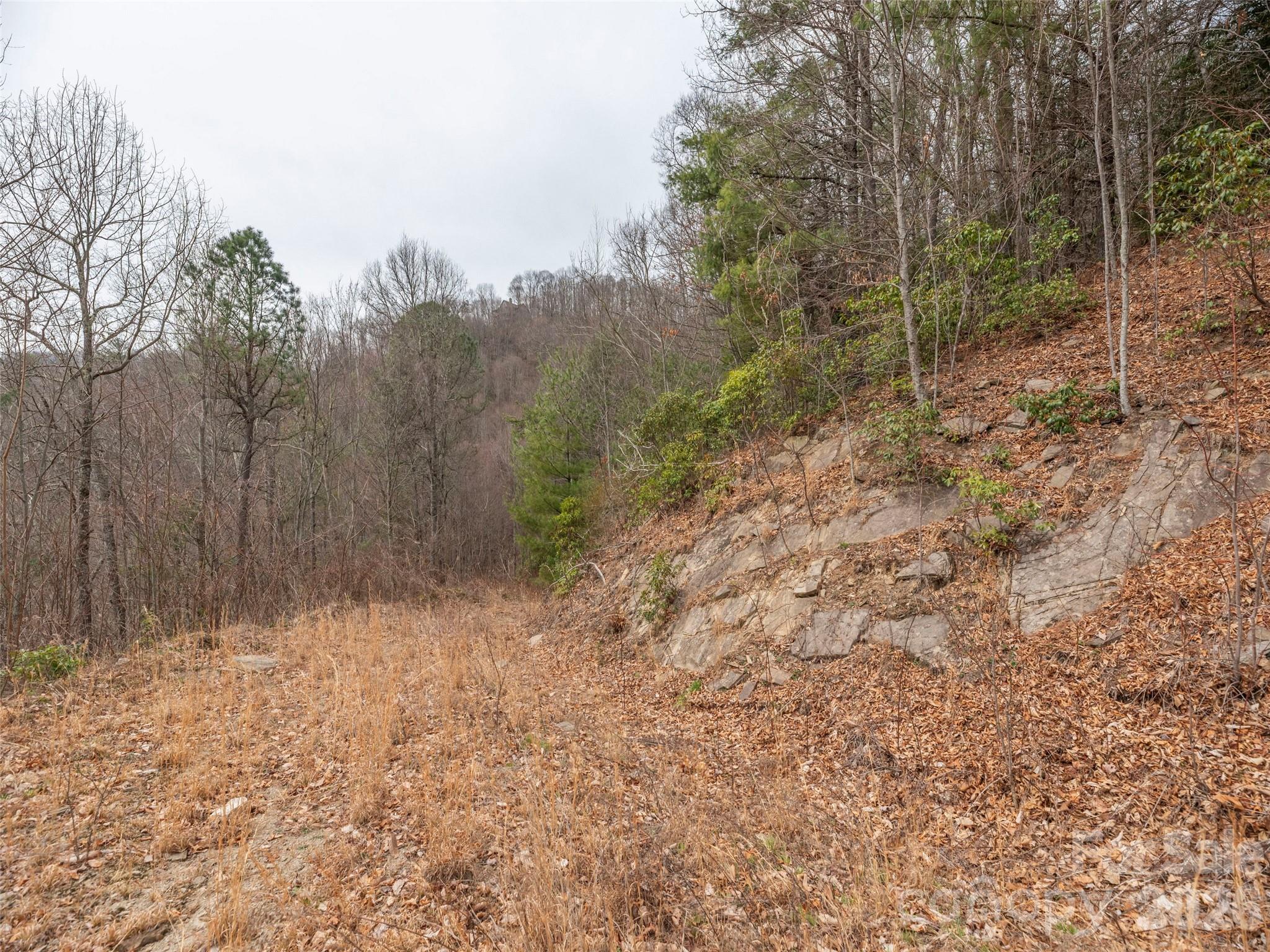 Acreage at 000 Sigogglin Road, Waynesville, photo 3 of 24