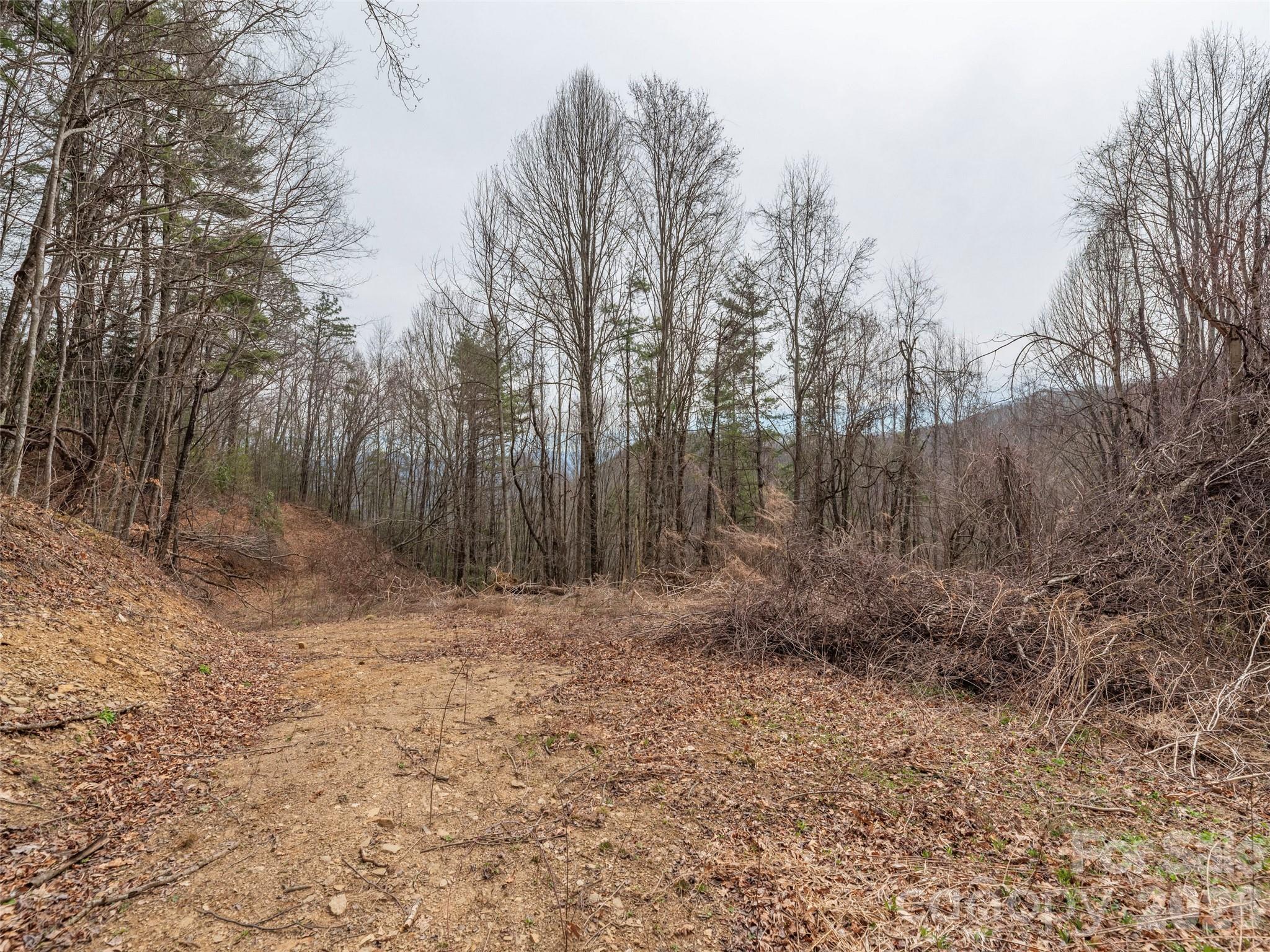 Acreage at 000 Sigogglin Road, Waynesville, photo 4 of 24