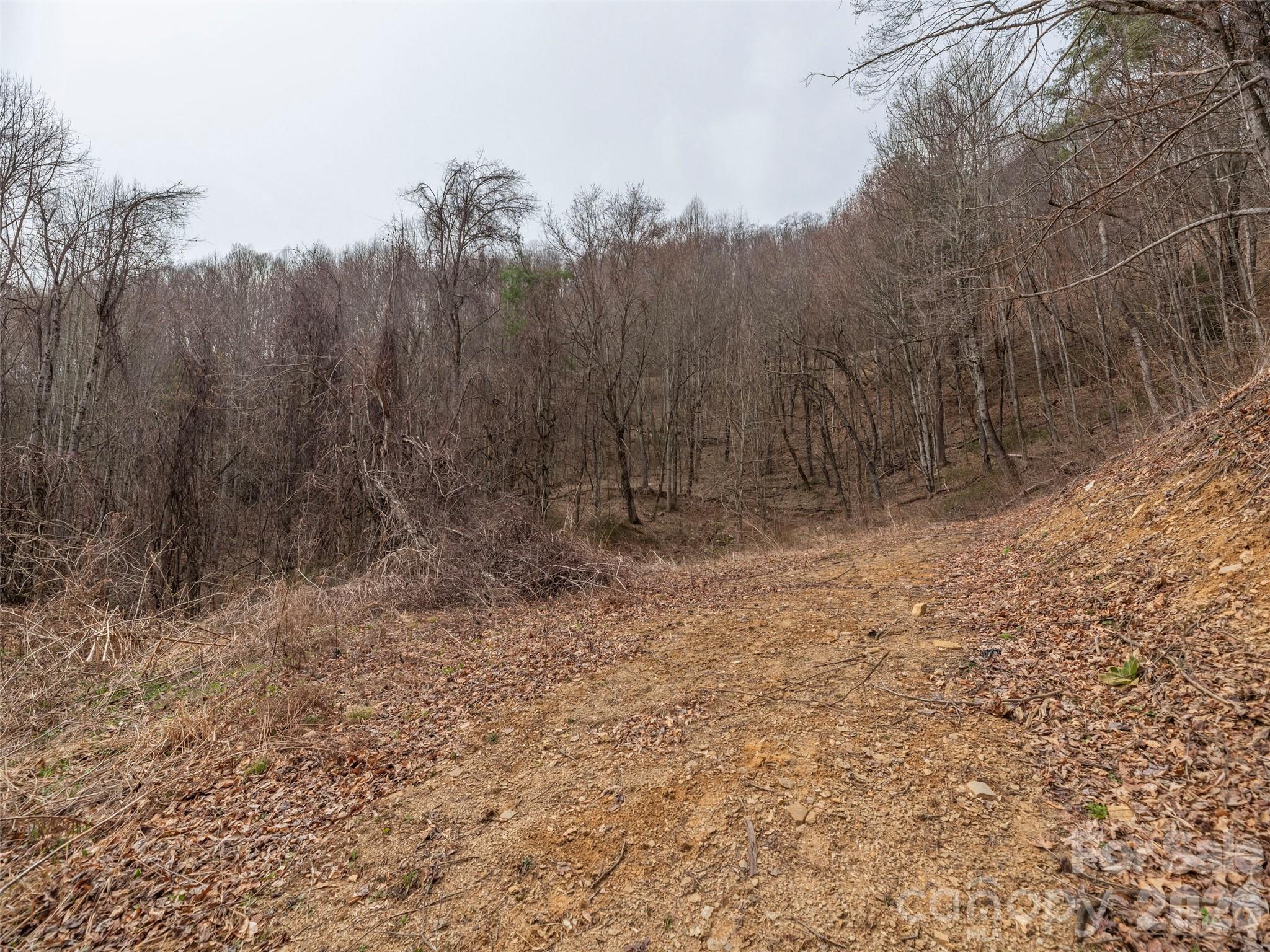 Acreage at 000 Sigogglin Road, Waynesville, photo 5 of 24