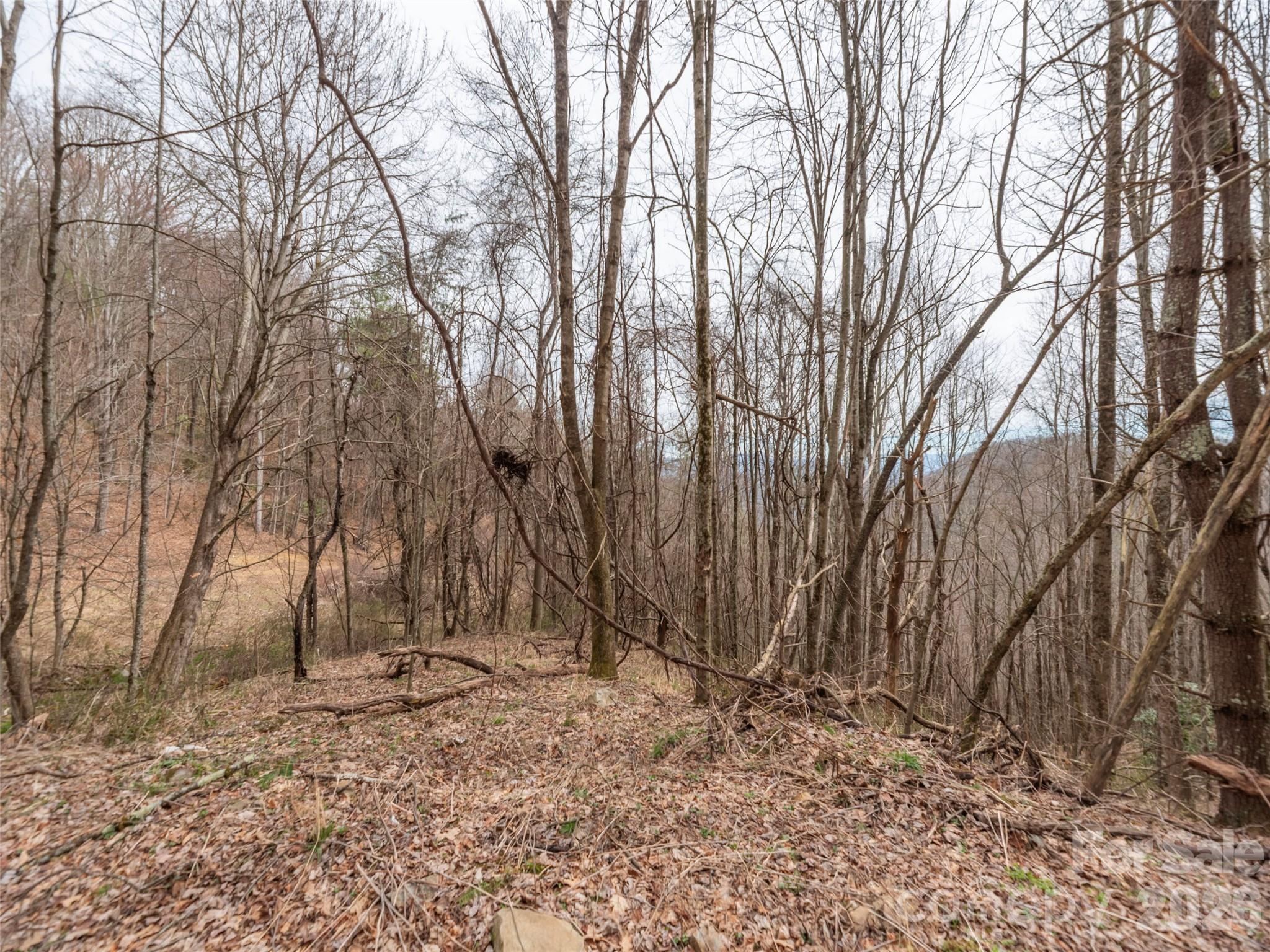 Acreage at 000 Sigogglin Road, Waynesville, photo 6 of 24