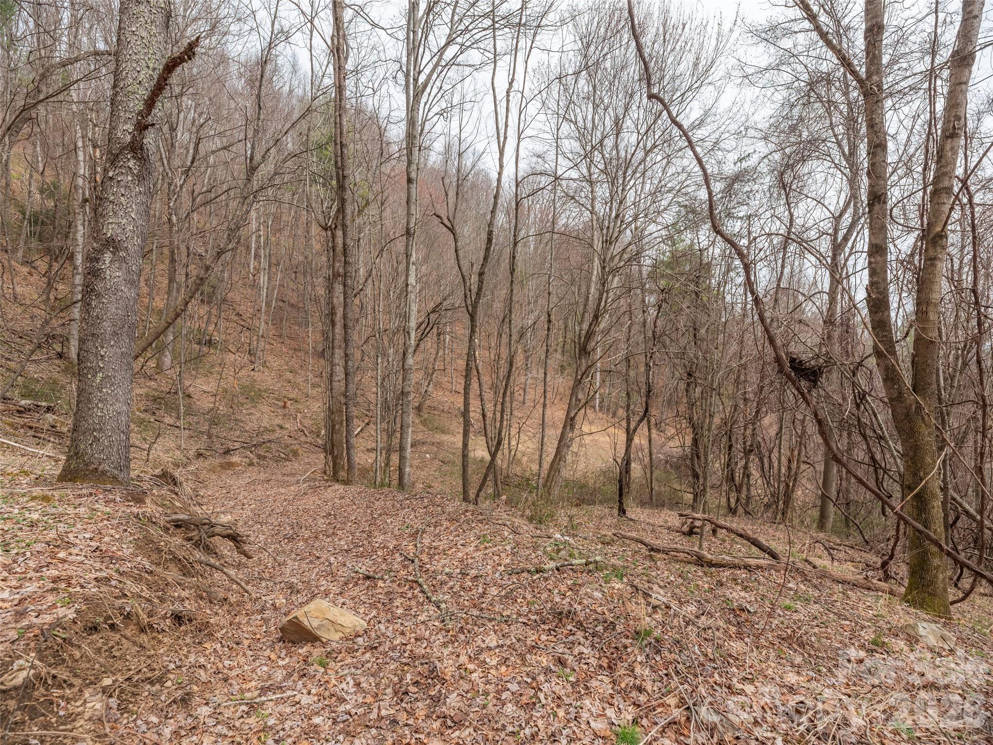Acreage at 000 Sigogglin Road, Waynesville, photo 7 of 24