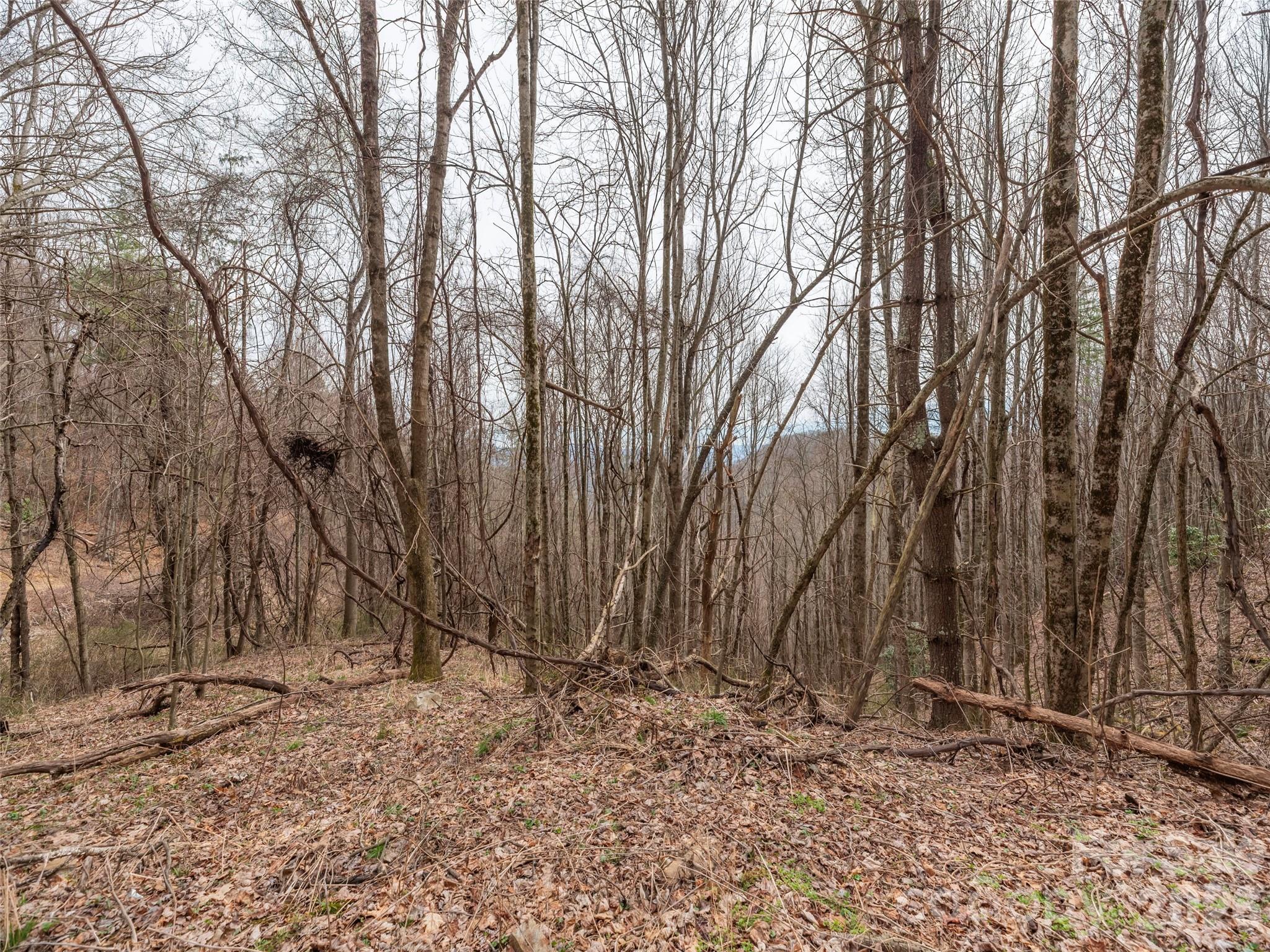 Acreage at 000 Sigogglin Road, Waynesville, photo 8 of 24