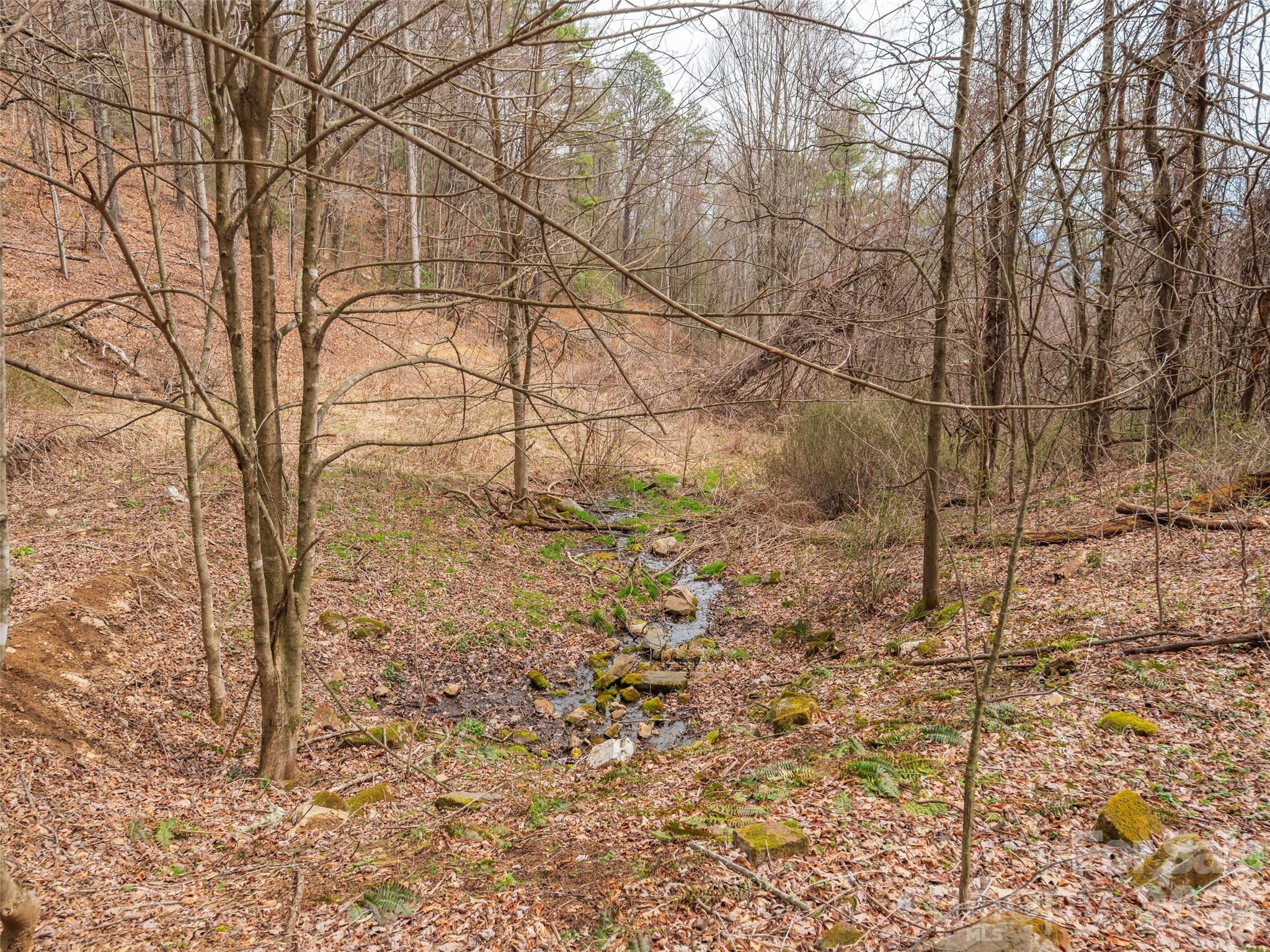 Acreage at 000 Sigogglin Road, Waynesville, photo 9 of 24