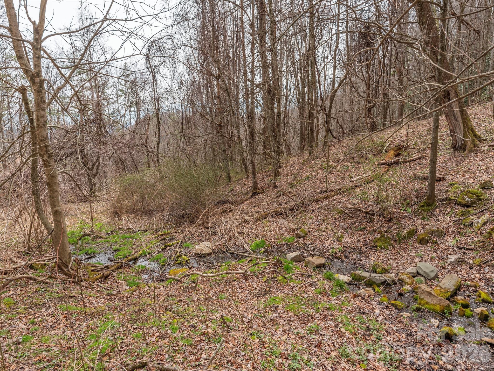 Acreage at 000 Sigogglin Road, Waynesville, photo 10 of 24