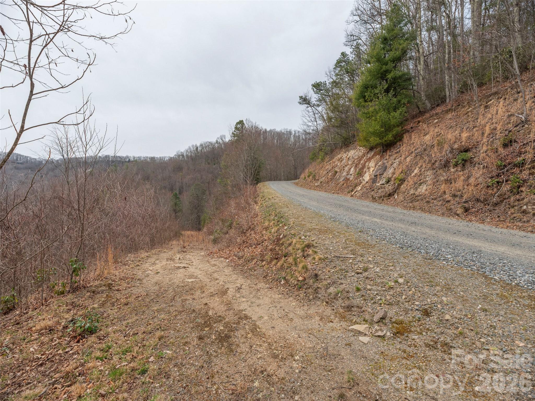 Acreage at 000 Sigogglin Road, Waynesville, photo 11 of 24